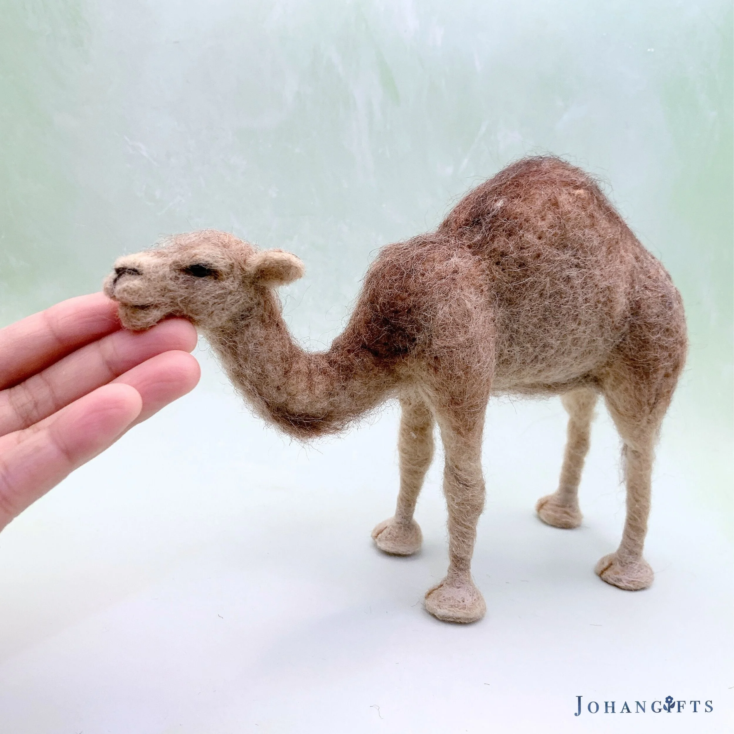 Camel | 2025