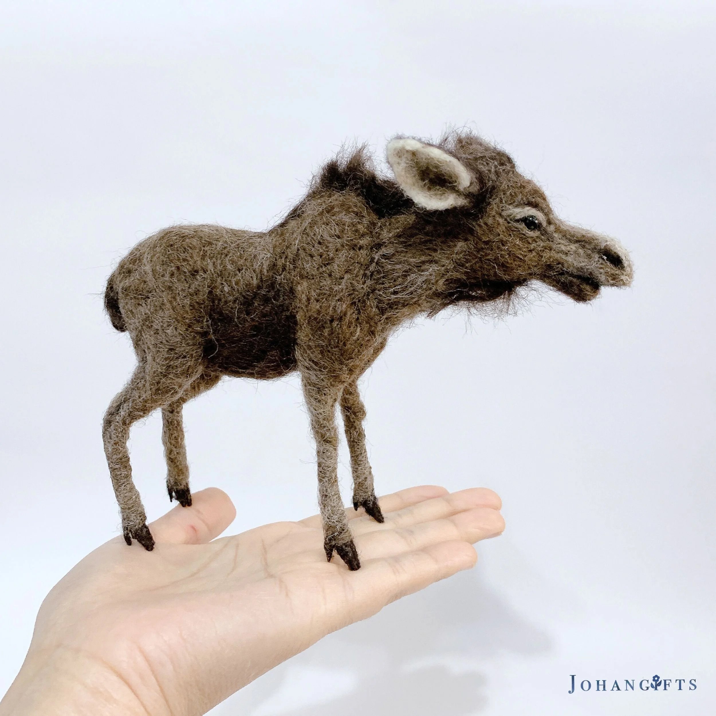 Cow moose | 2025