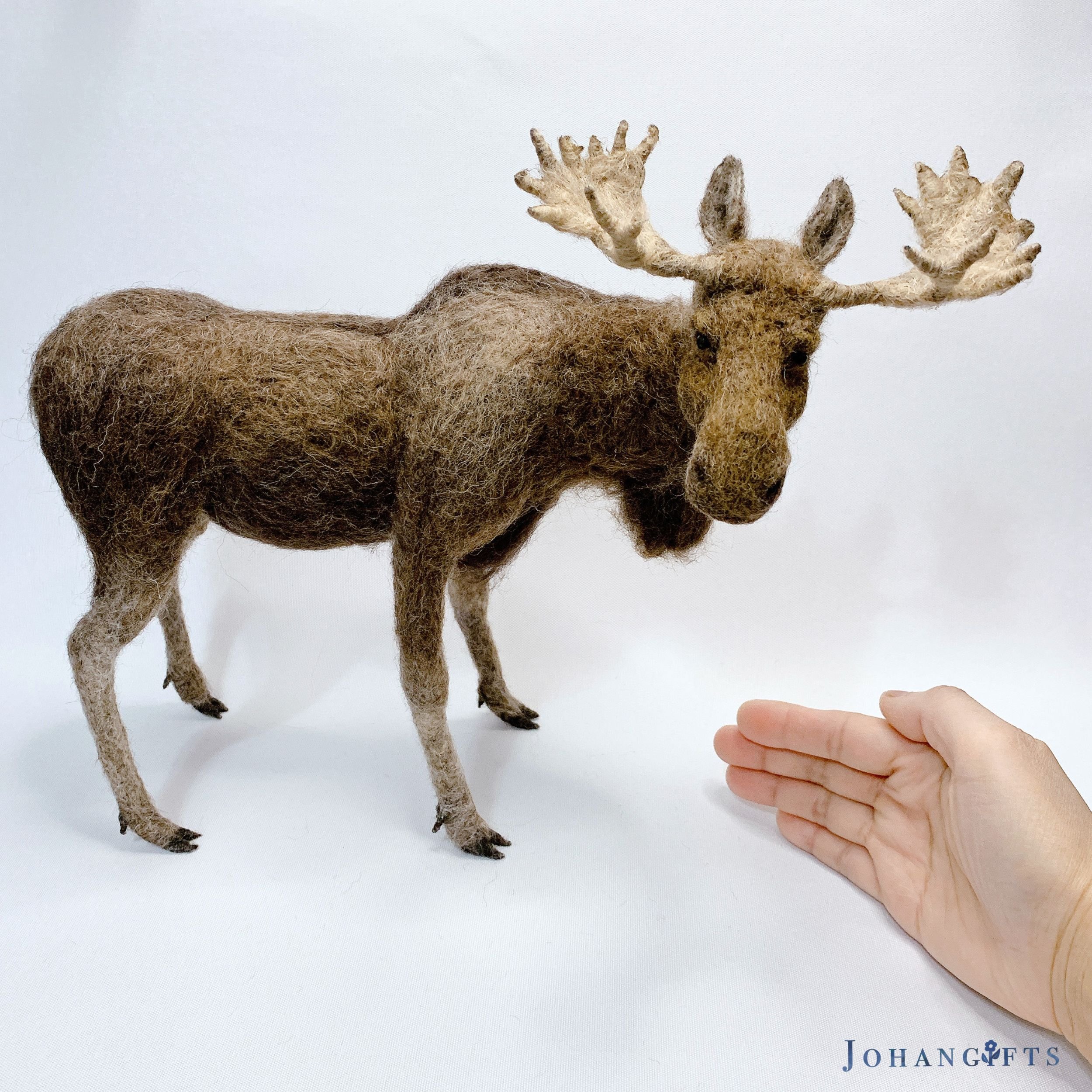 Bull moose | 2026