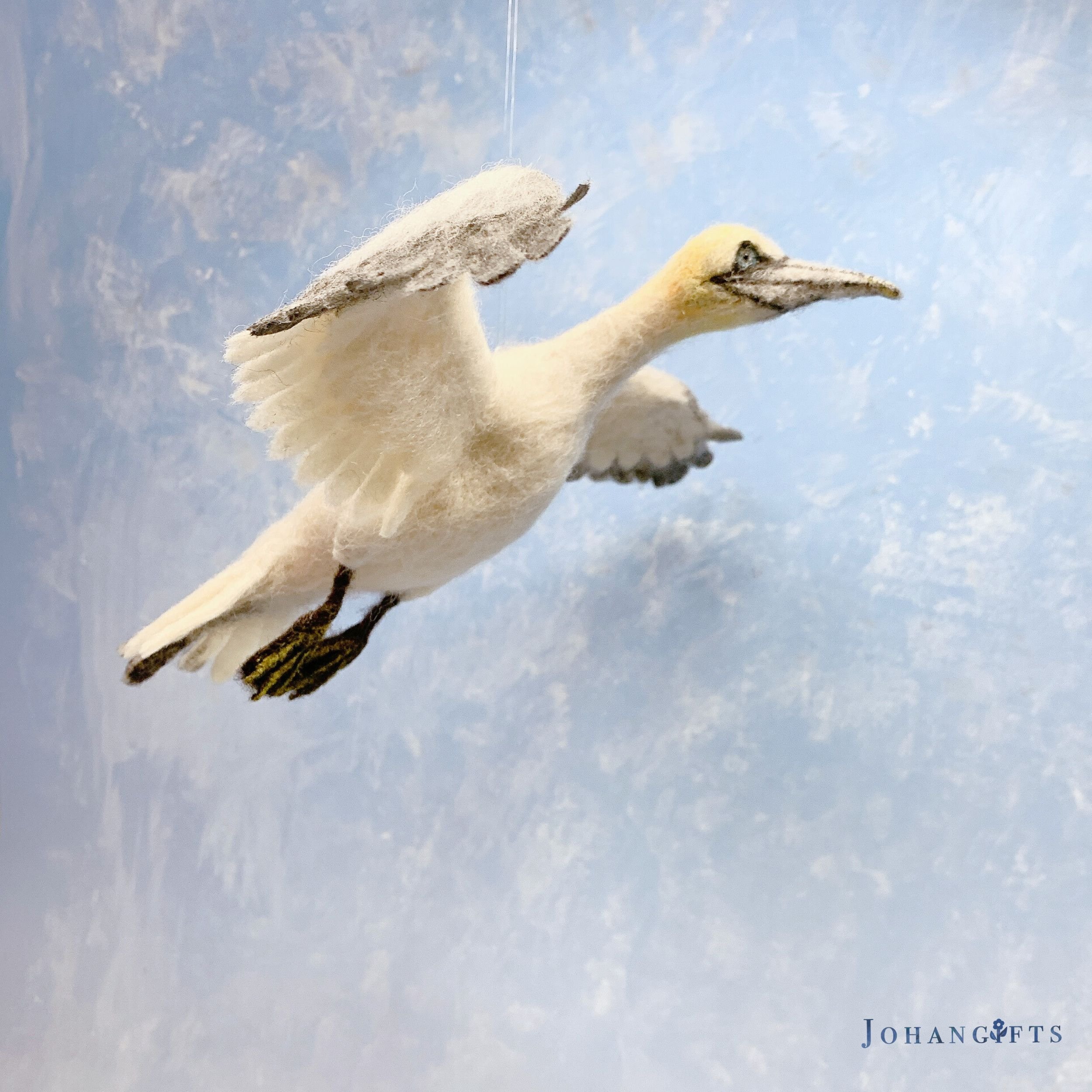 Northern Gannet | 2026
