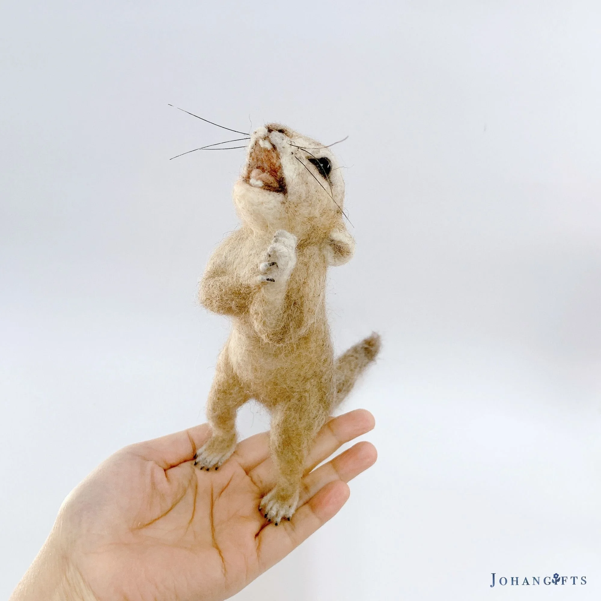 Ground squirrel | 2024