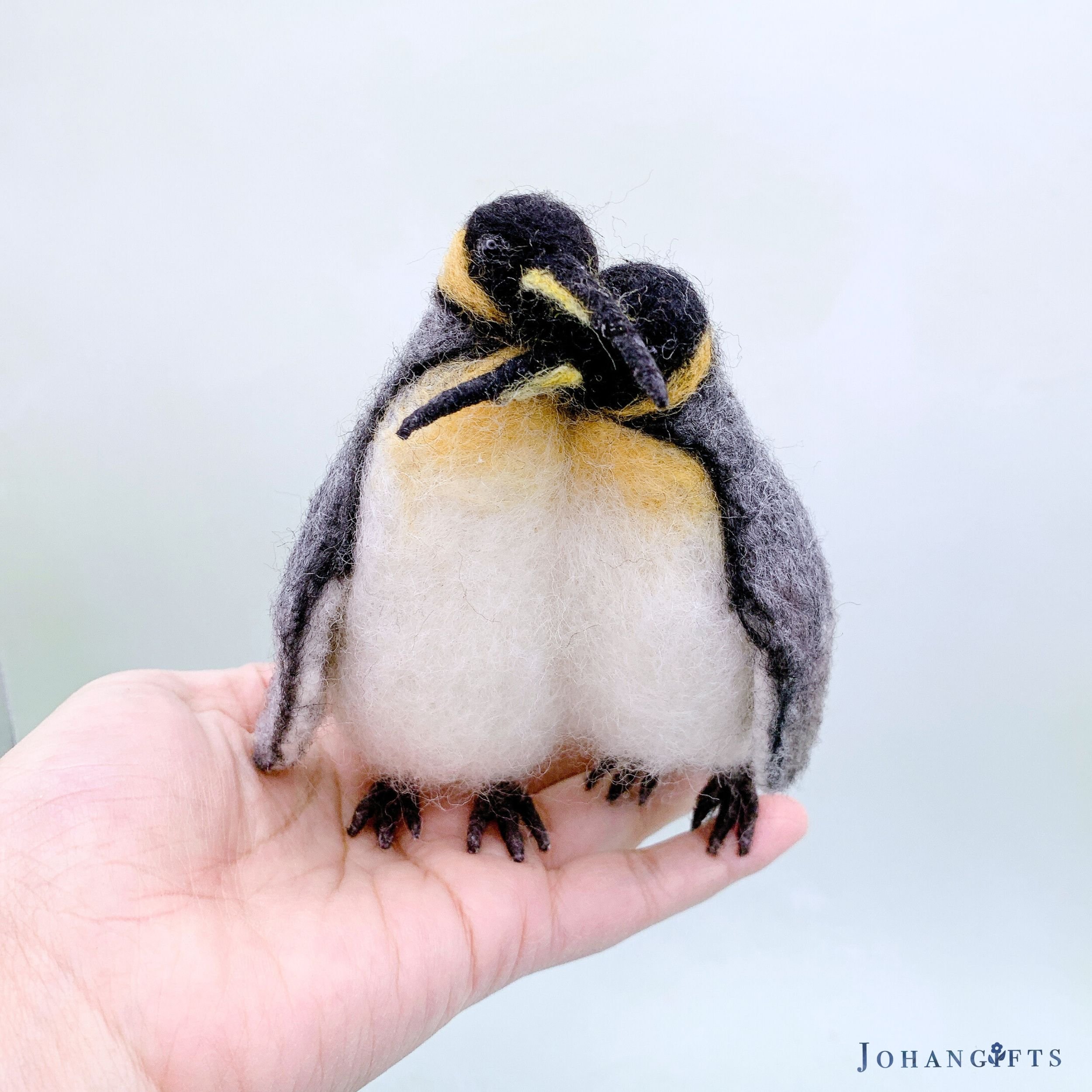 King penguin couple | 2024