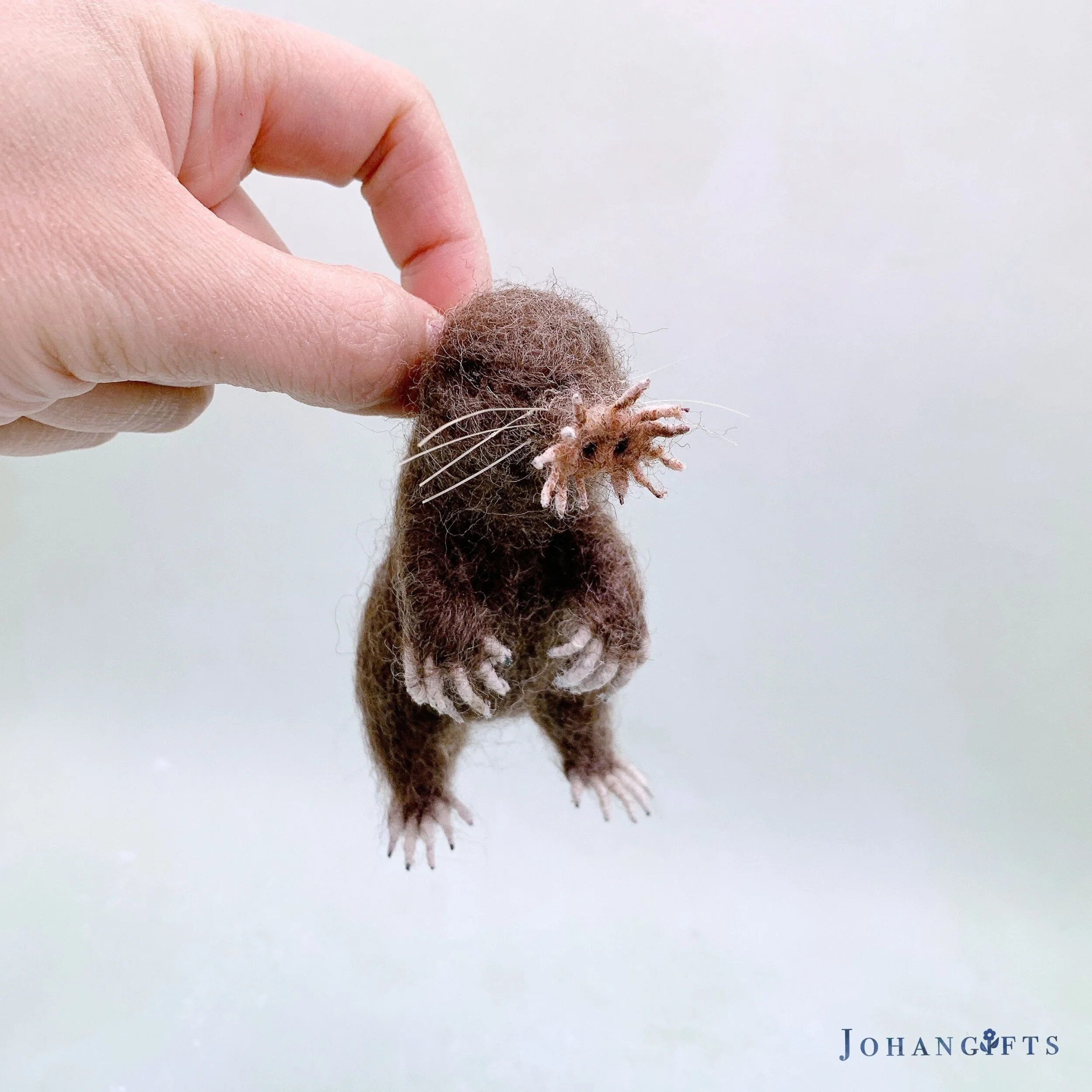 Star-nosed mole | 2025