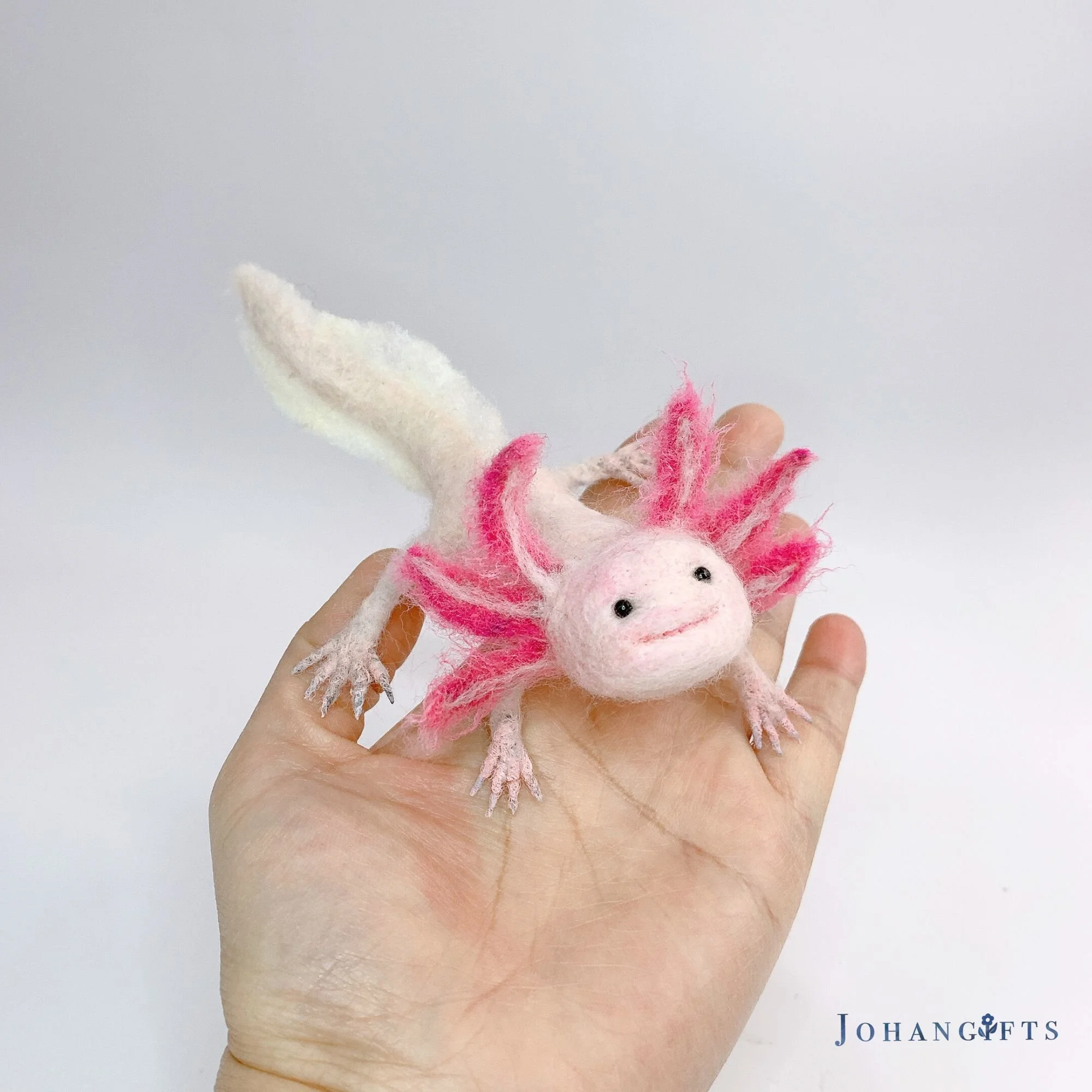 axolotl | 2025