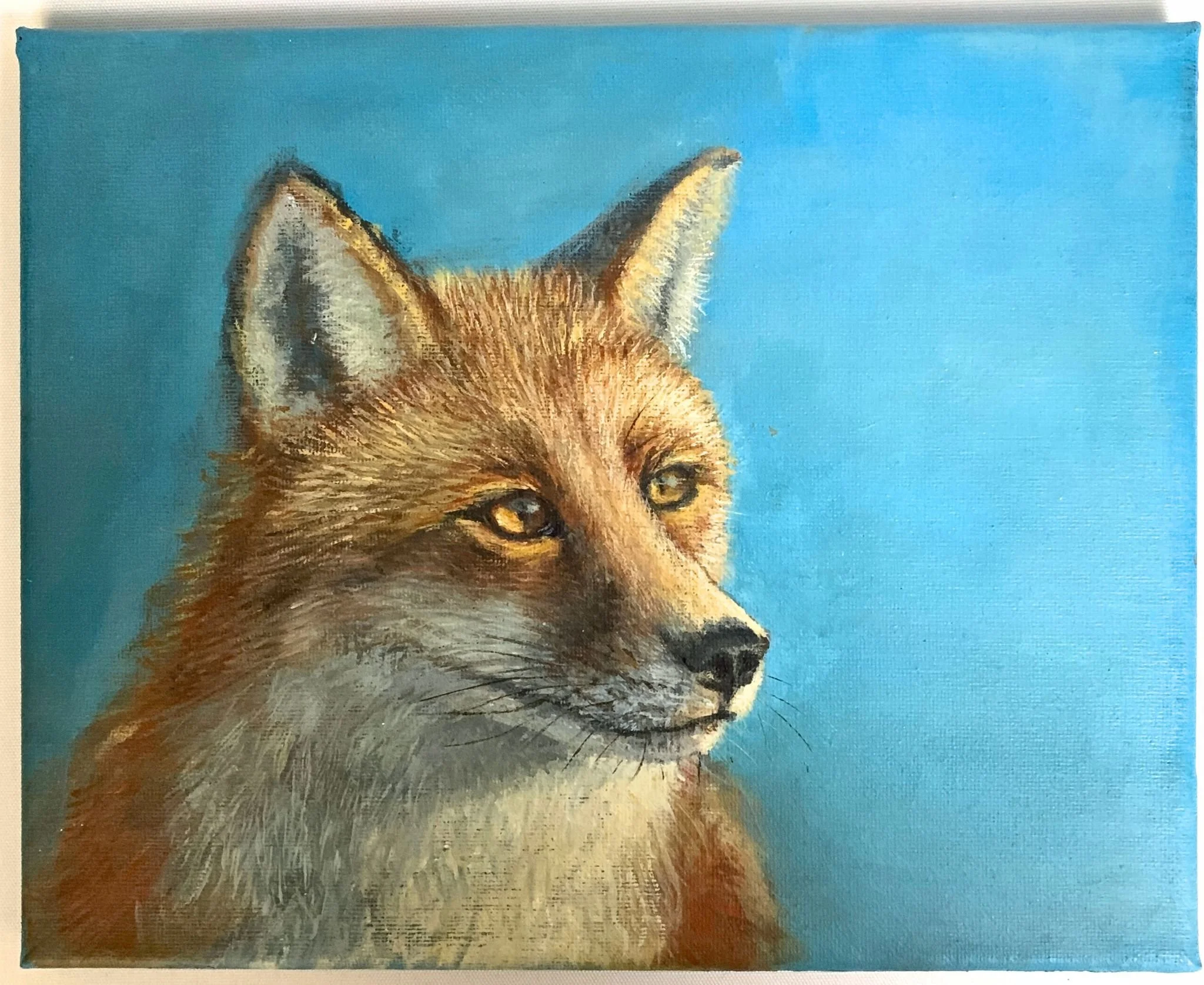 Red fox | Acrylic on Canvas | 8 × 10 in | 2026