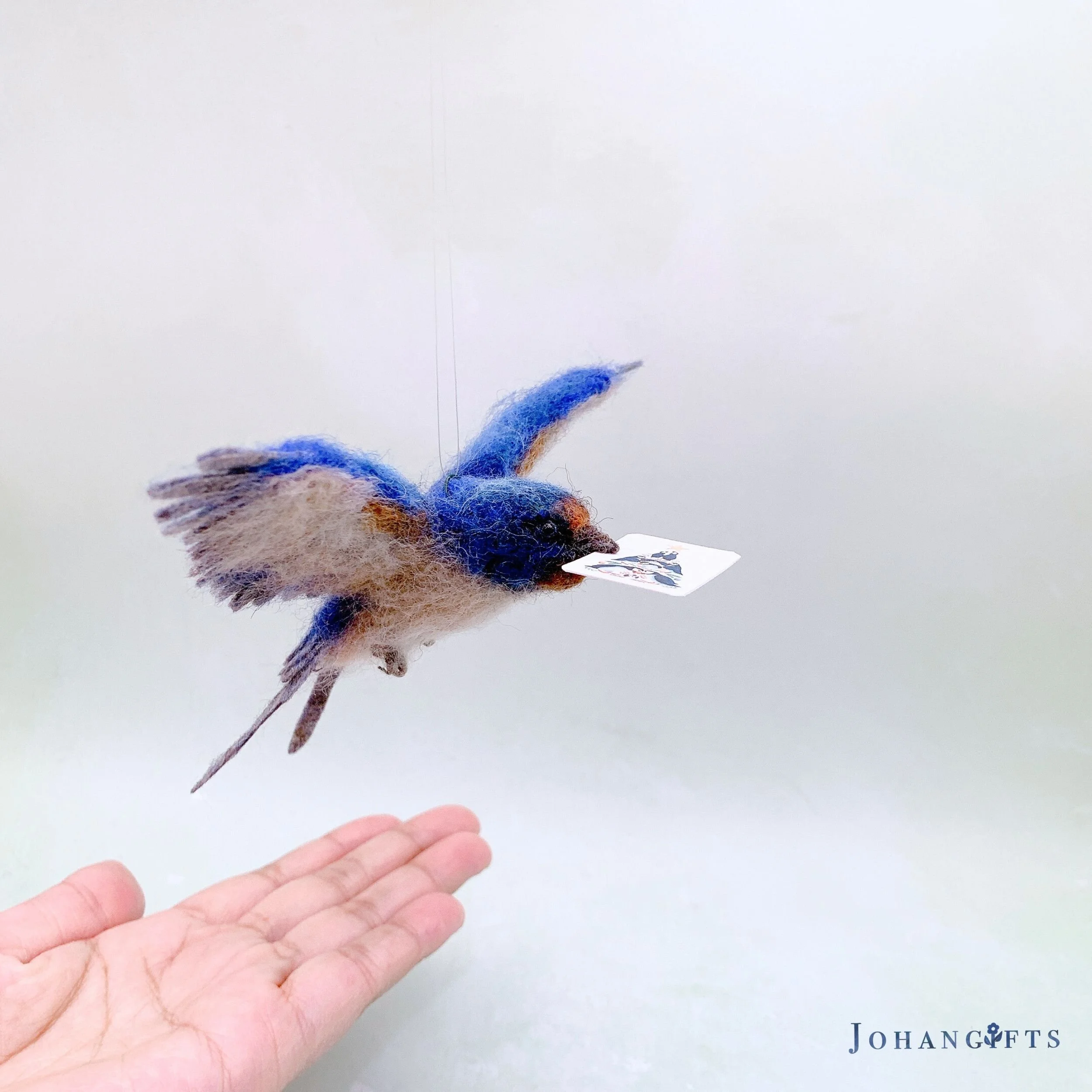 Barn swallow | 2026