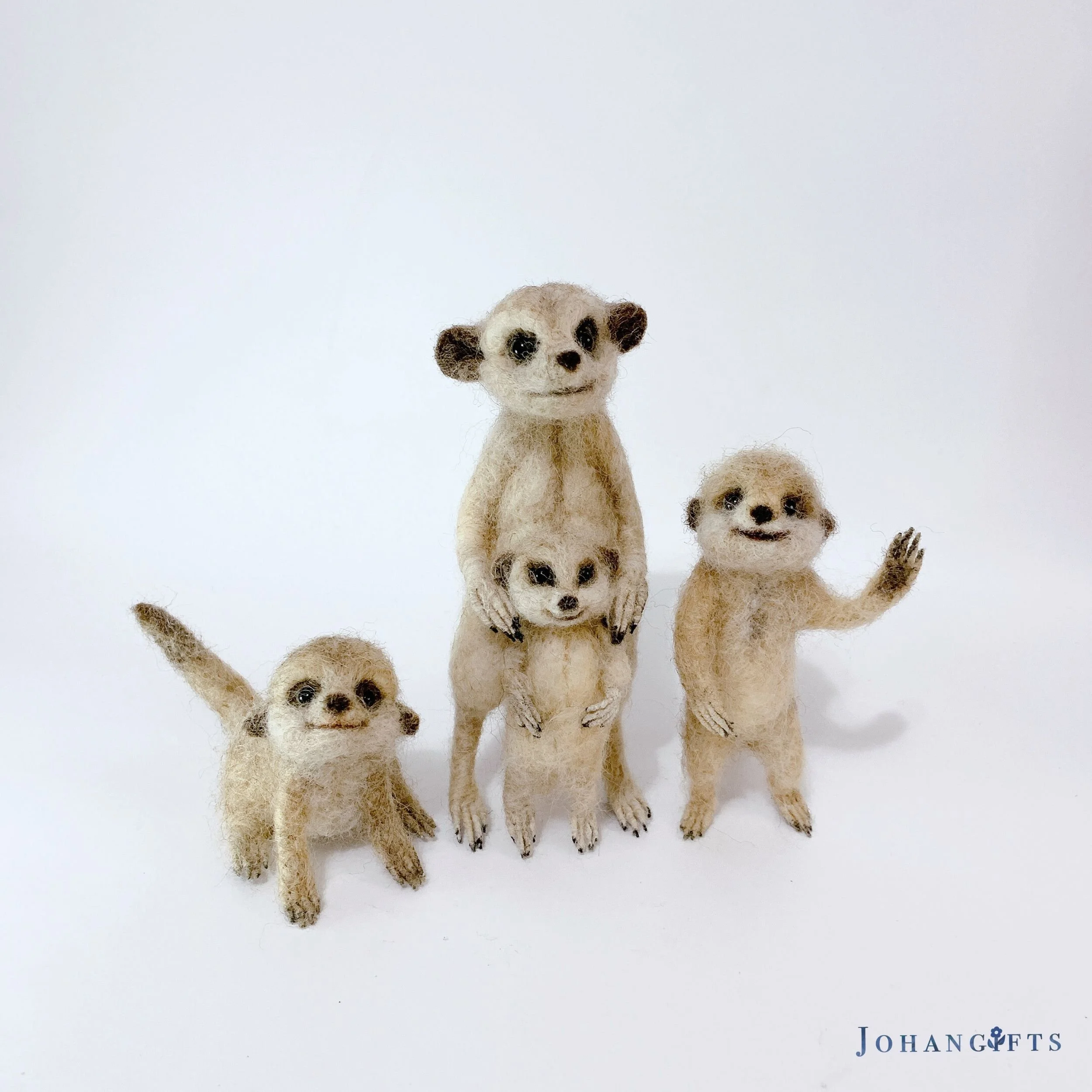 Meerkat family | 2025