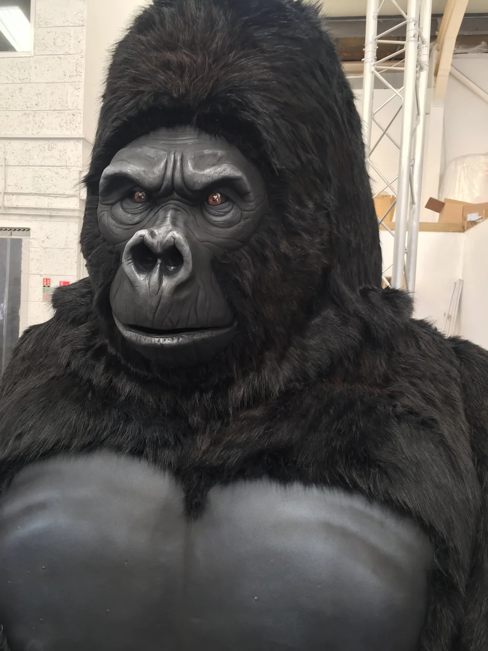 Animatronics Ltd