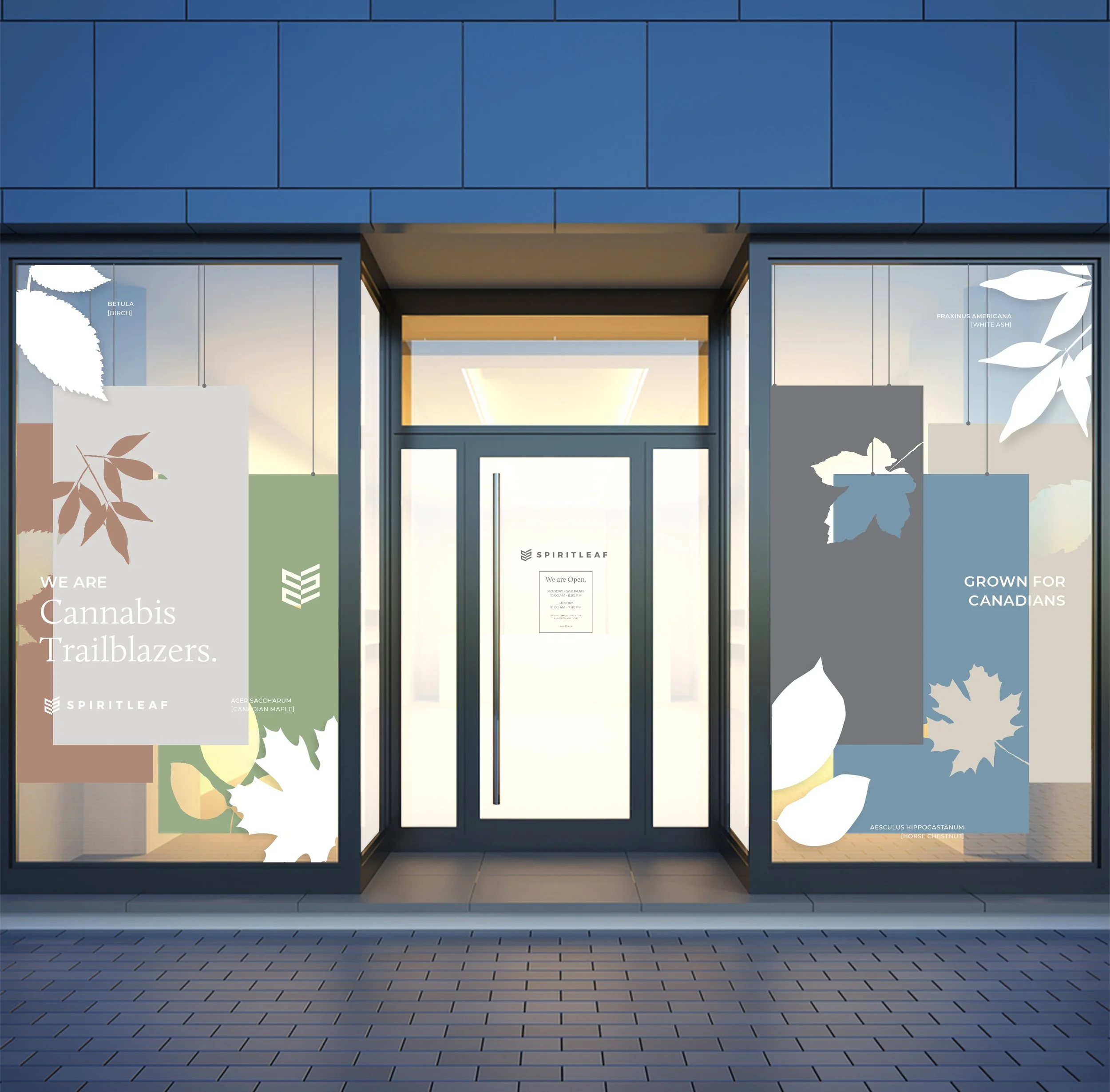 Cannabis Display Portfolio Concept.jpeg