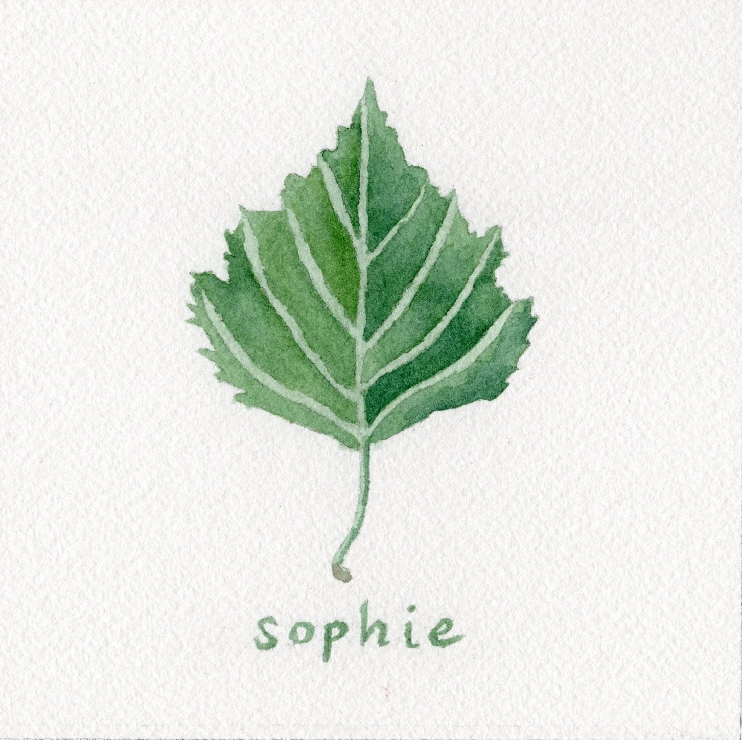 Sophie Birch Leaf.jpg