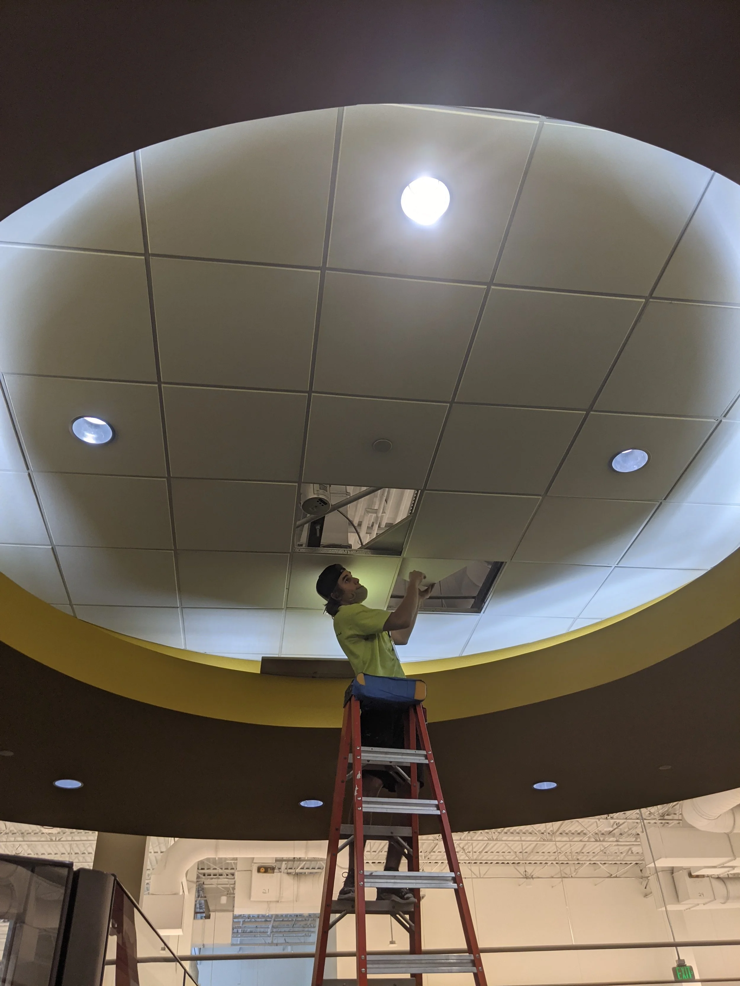 Accustical Ceiling Tile.jpg