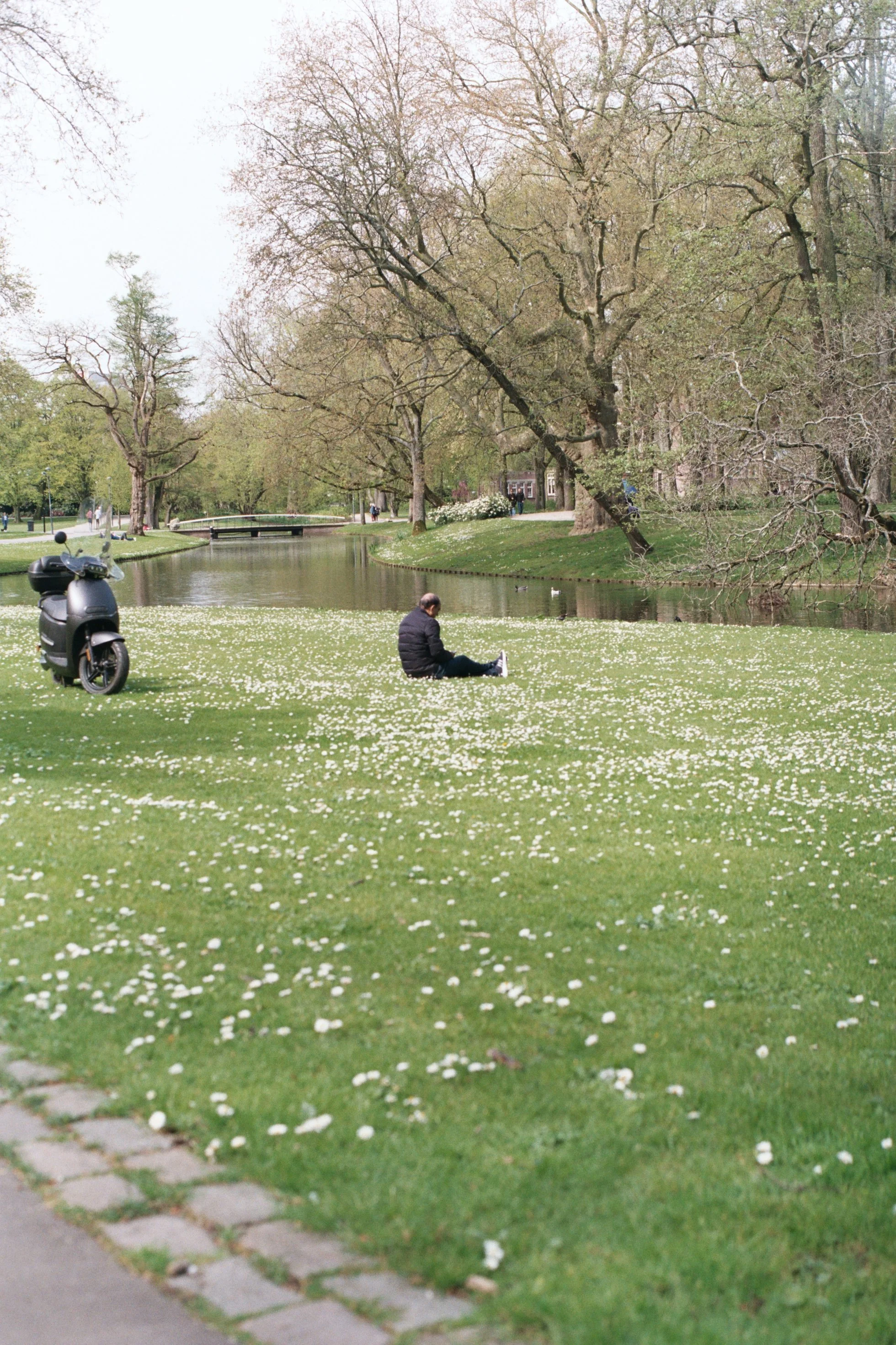 AA009.jpg