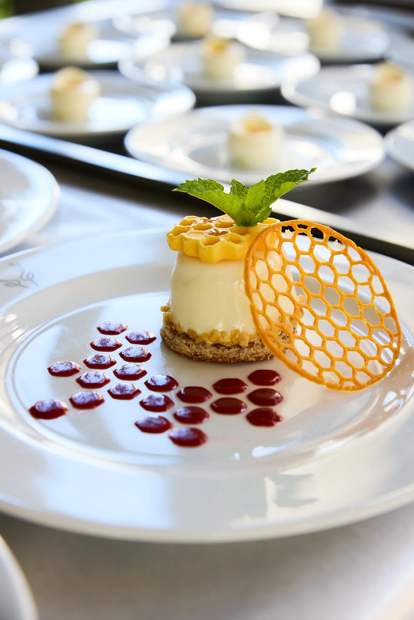 Kevin Captured Moments 95.jpg