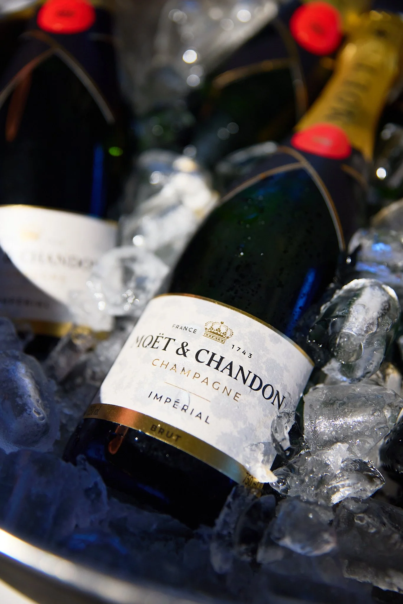 Firmen Fotograf Schweiz