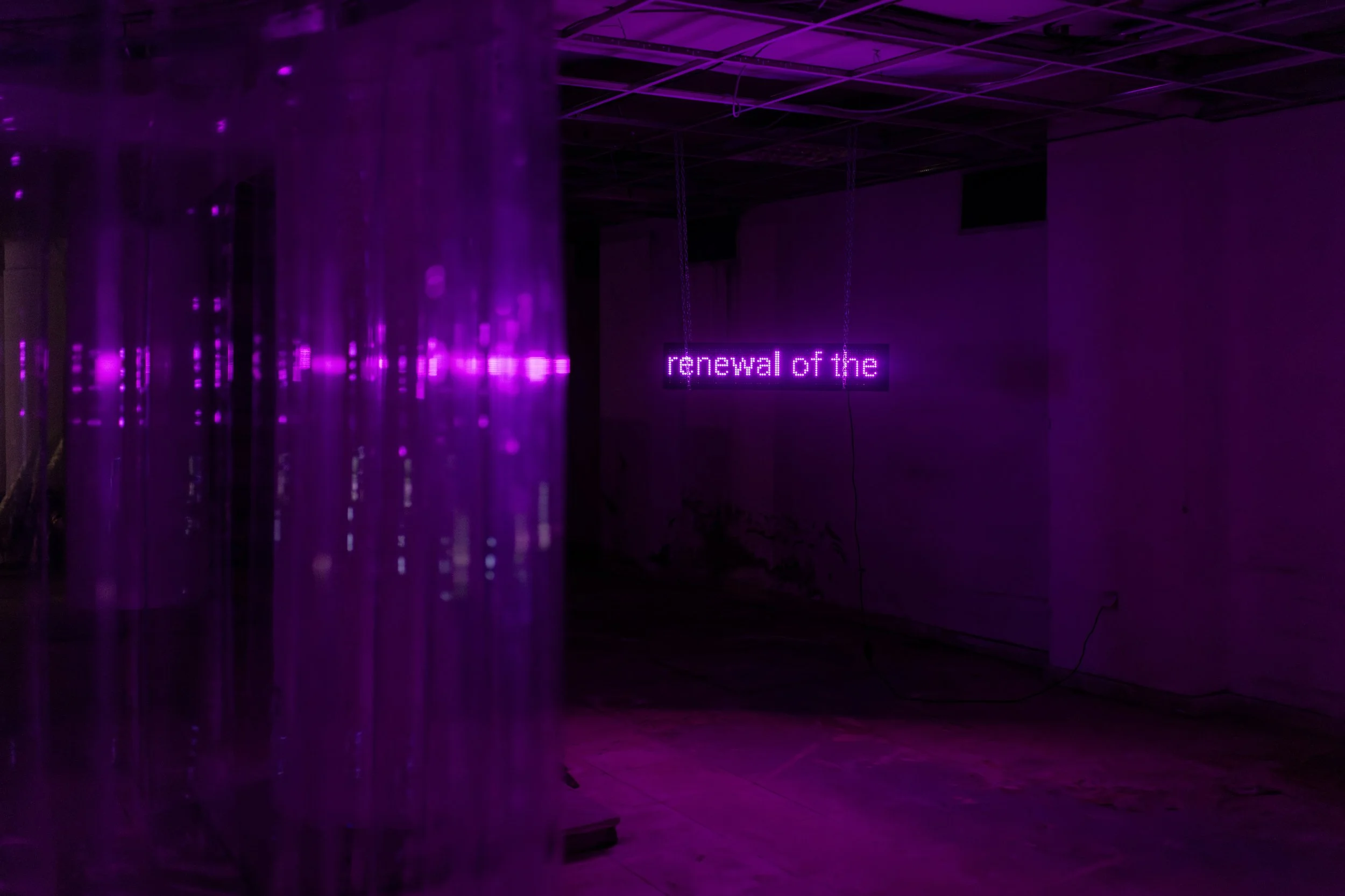 Copy of DSC_6965-min.jpg