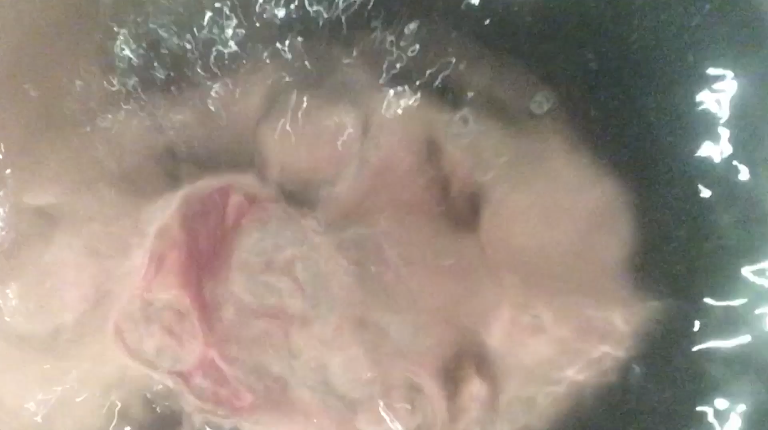 Solo (bubbles)_still 5.png