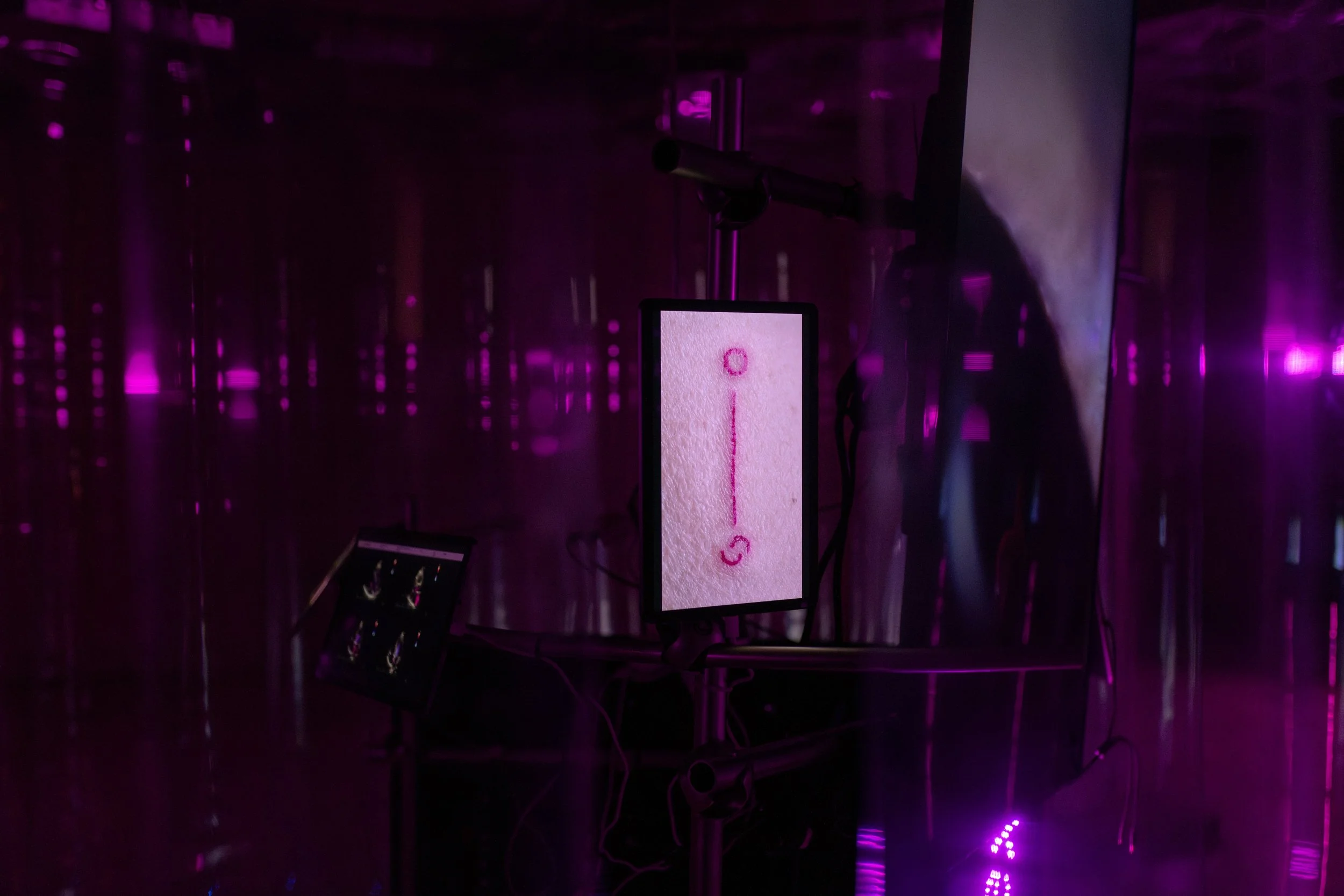 Copy of DSC_6819-min.jpg