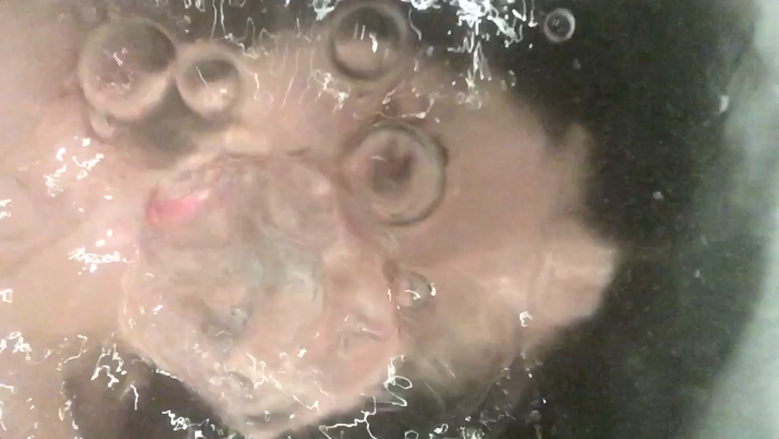 Solo (bubbles)_still 4.png