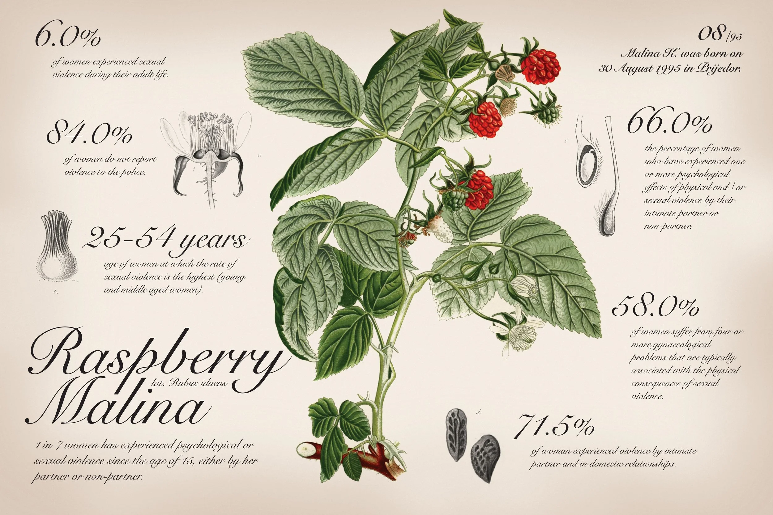 Malina_Raspberry_Sexual_Violence.jpg