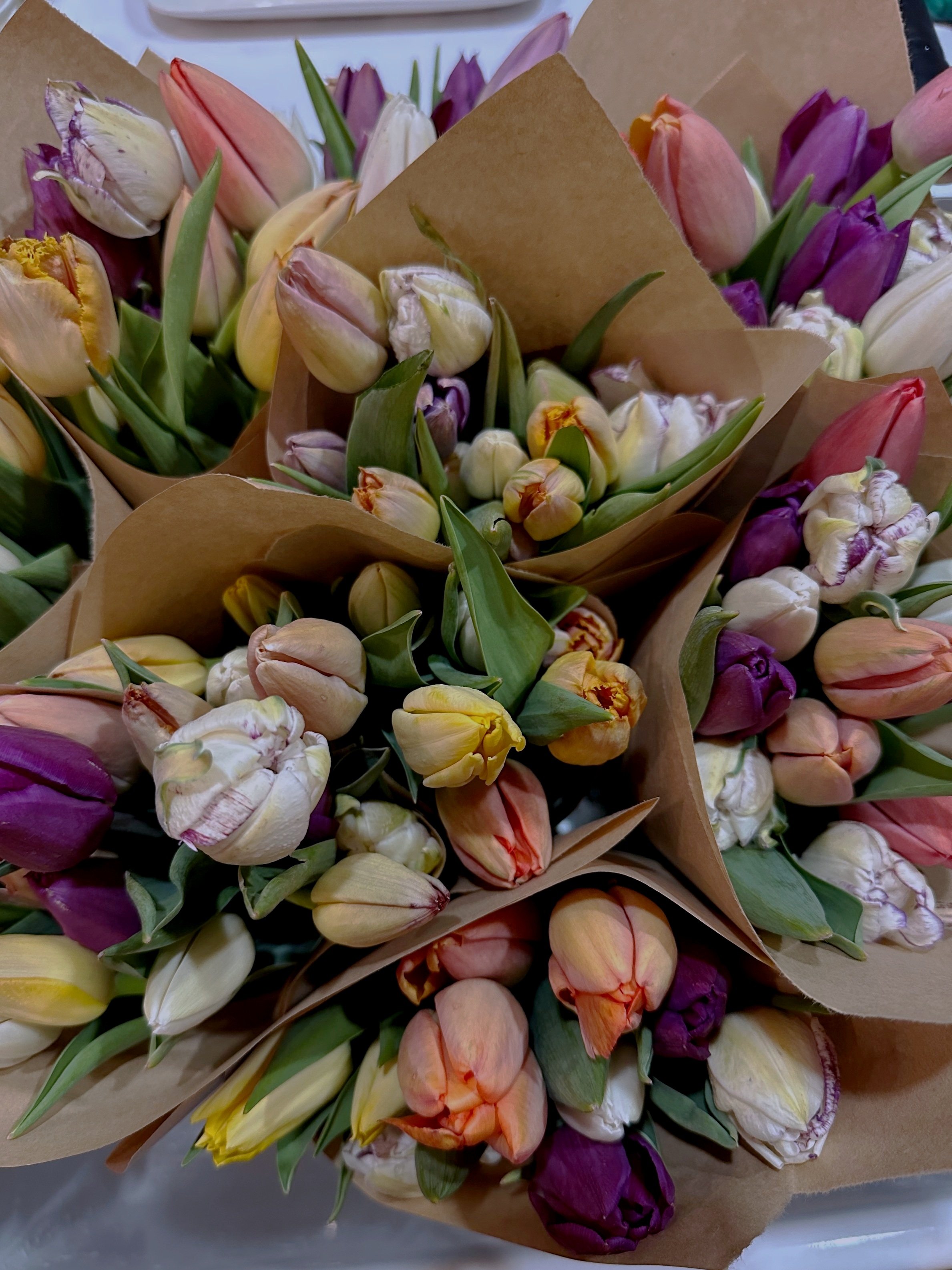 Mother's Day Tulip Bouquet Pre-Order