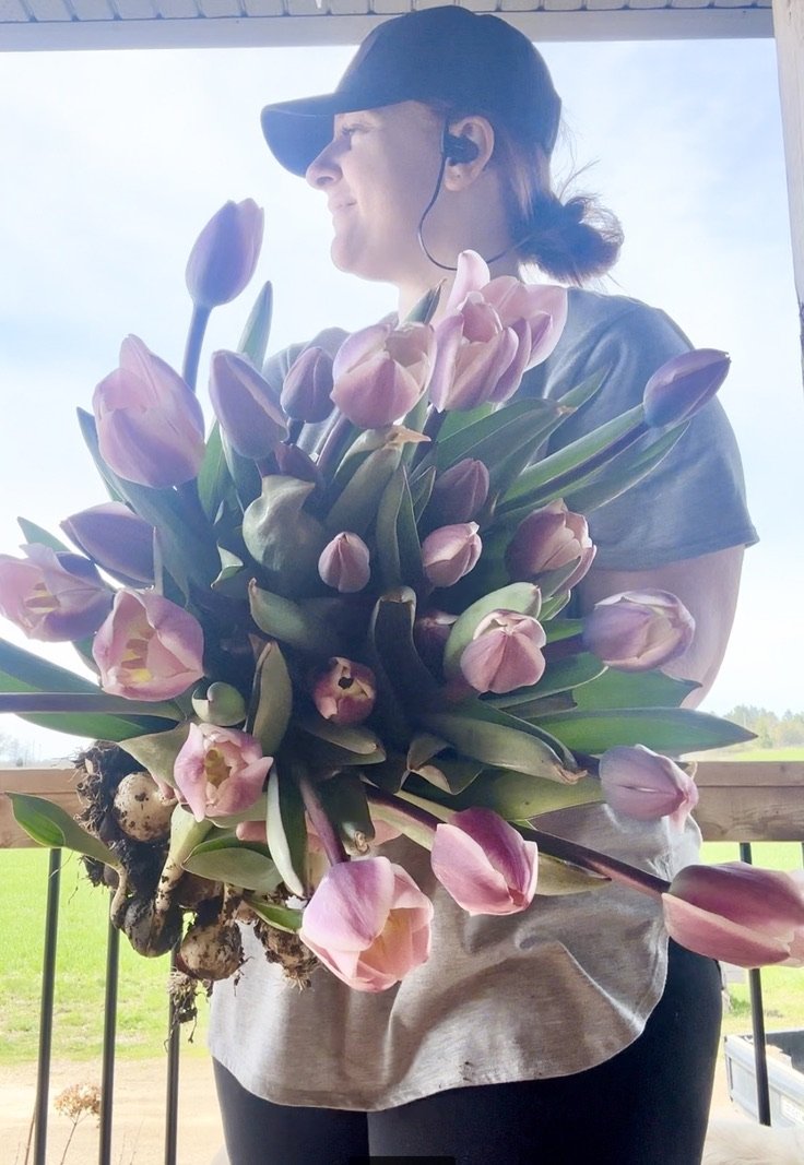 Spring Flower Subscription
