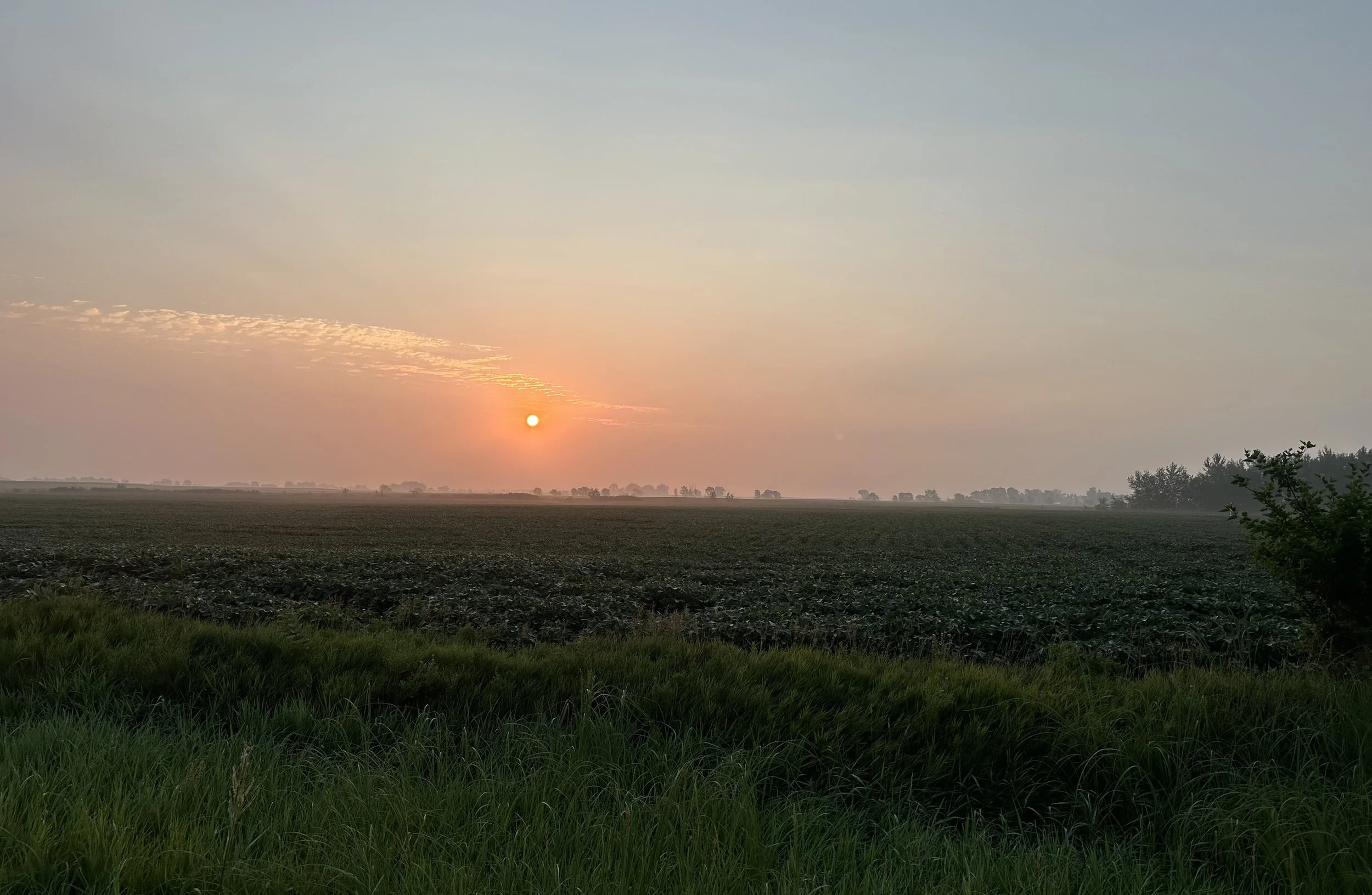 Joy in the Ordinary