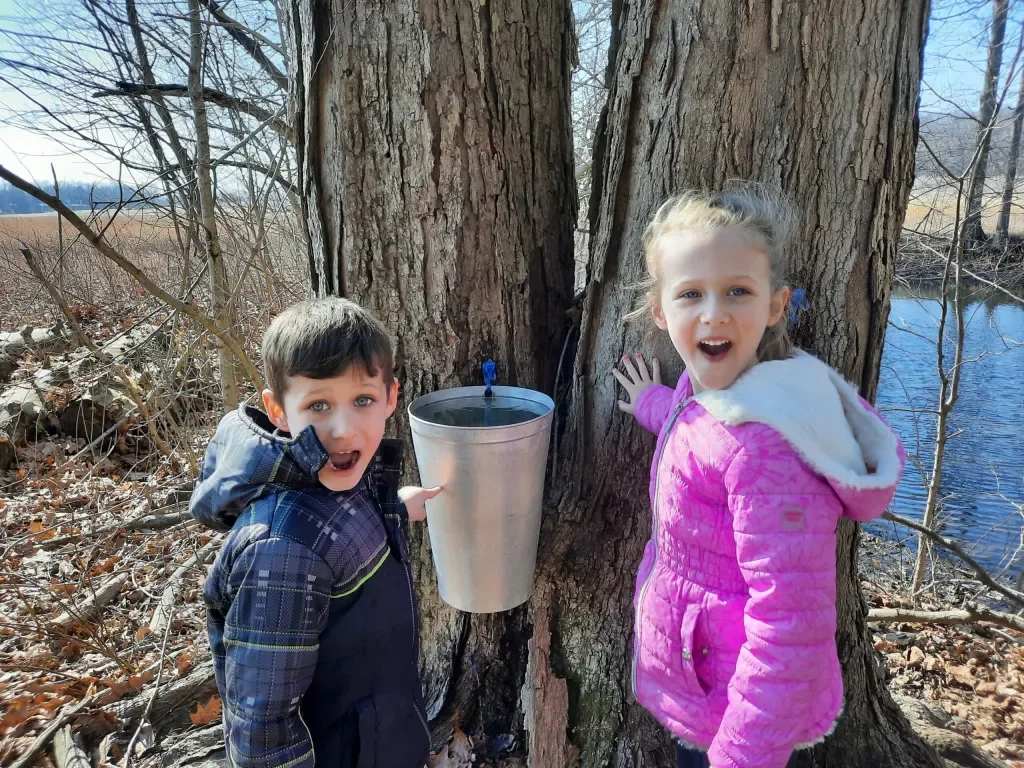 Maple Syrup Days at McCloud