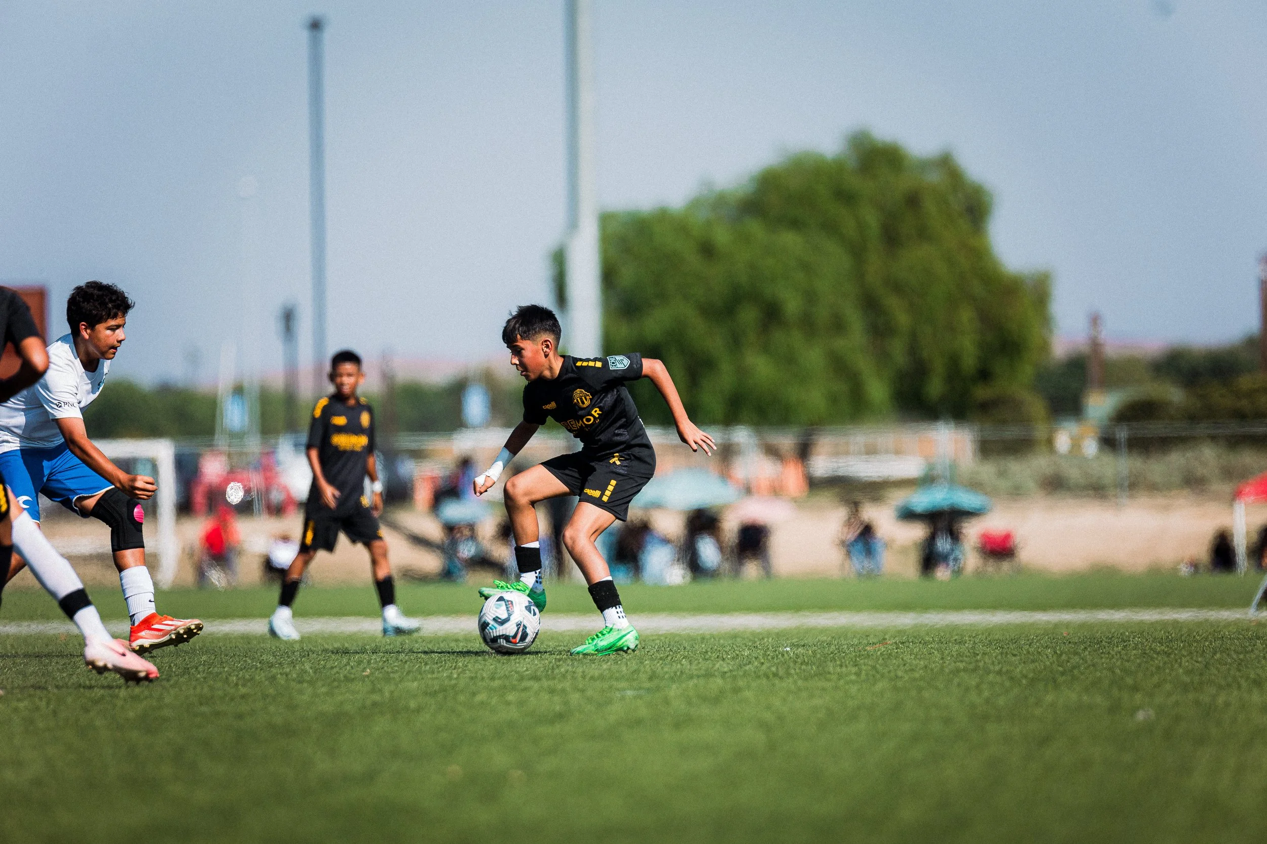 Young boys playing soccer on a green field on a sunny day, some in black and some in white jerseys.