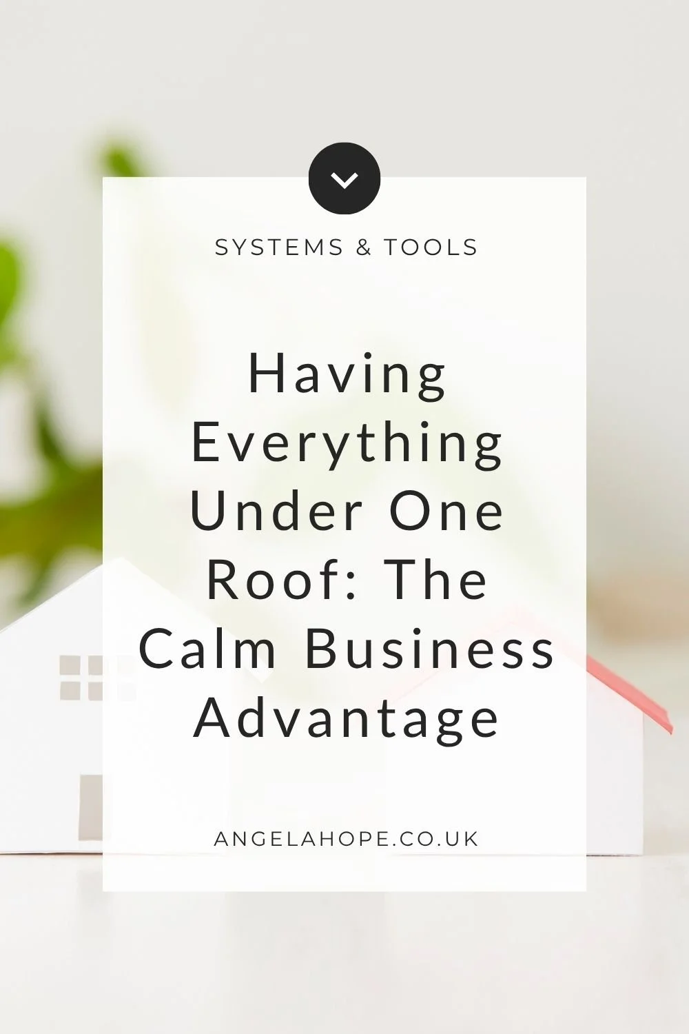 Having Everything Under One Roof: The Calm Business Advantage