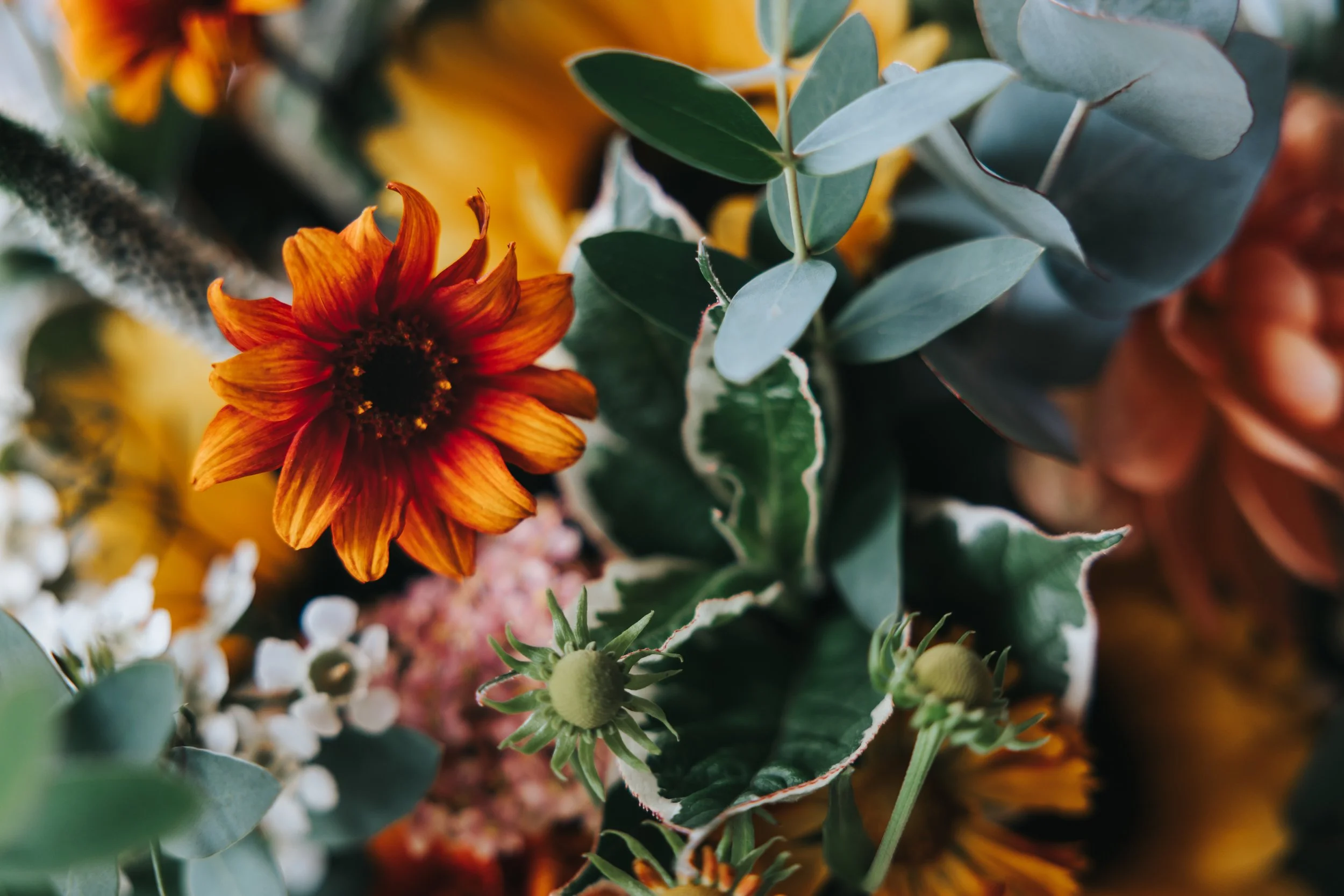 Close-up of a bouquet with orange and yellow flowers, green leaves, and small white flowers.