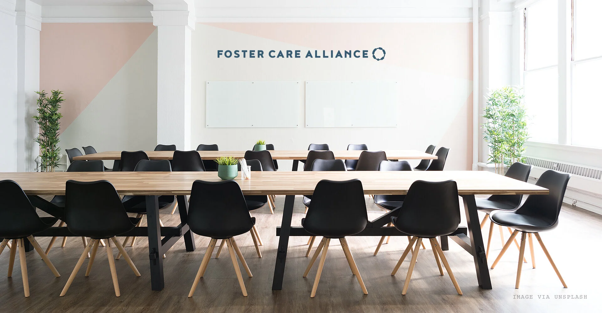 foster care alliance