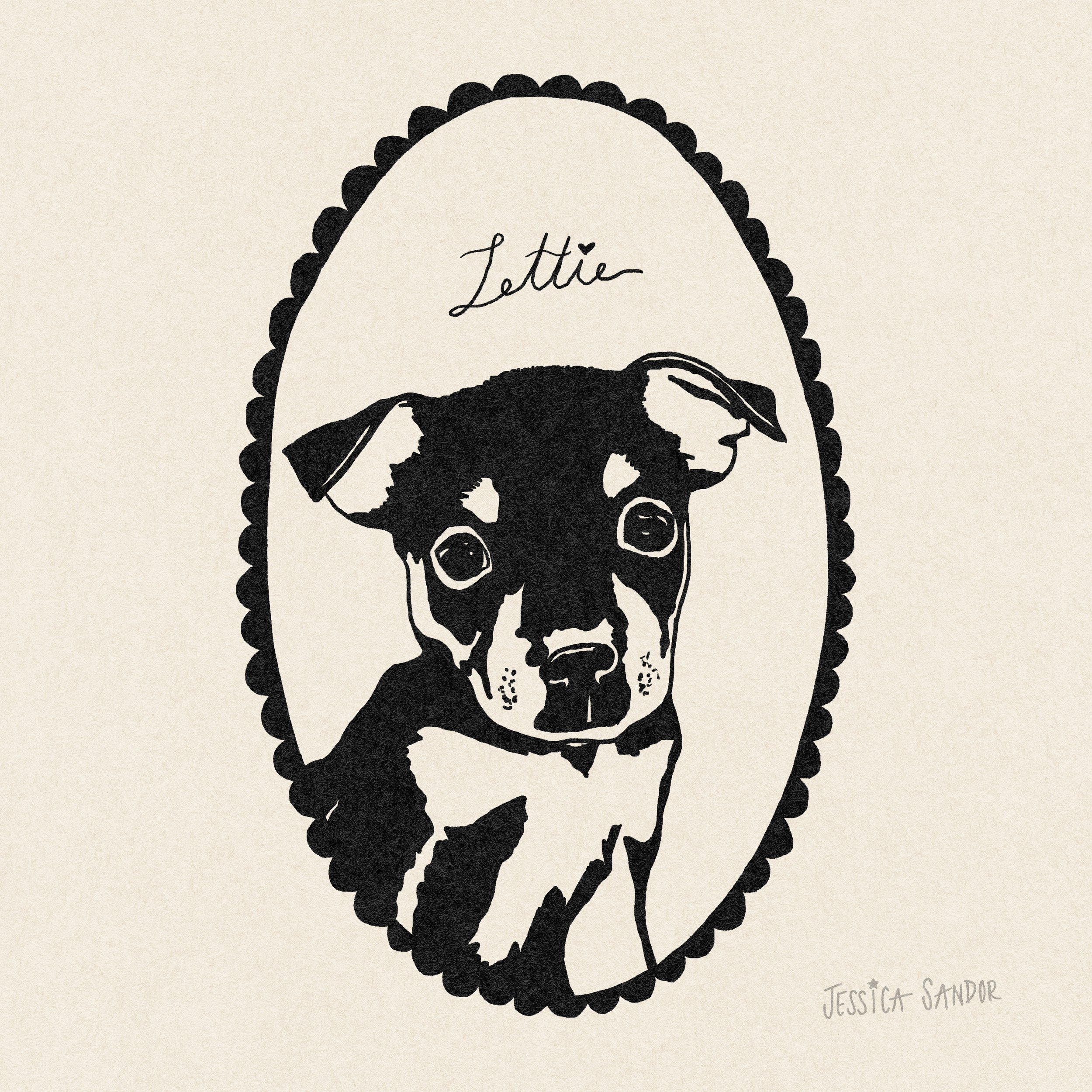 Lettie copy.jpg