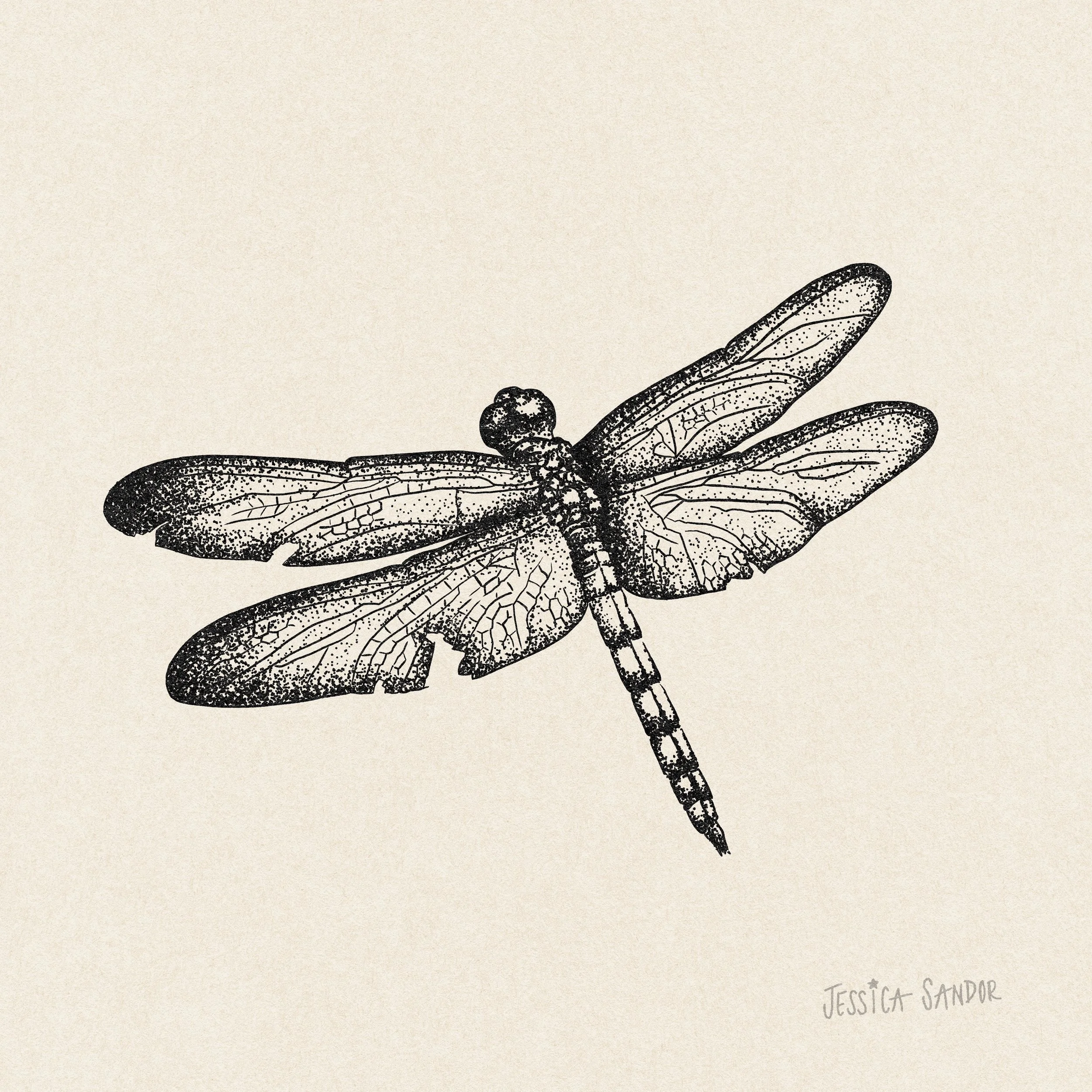 Dragonfly Tattoo.jpeg