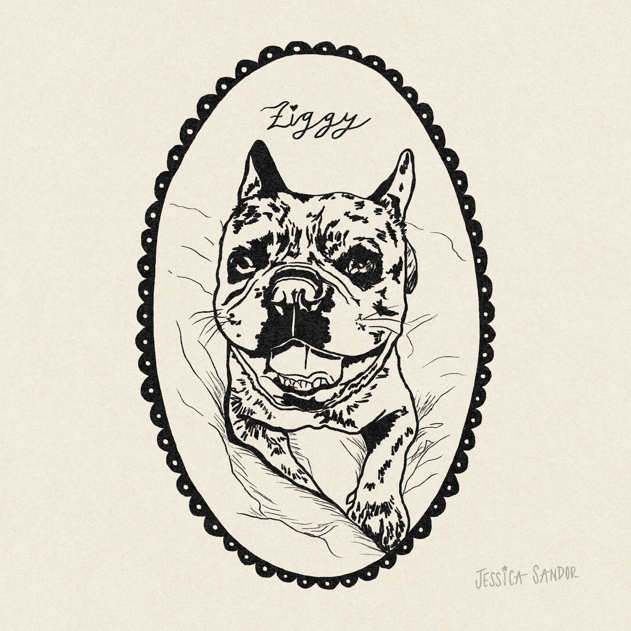 Ziggy copy.jpg