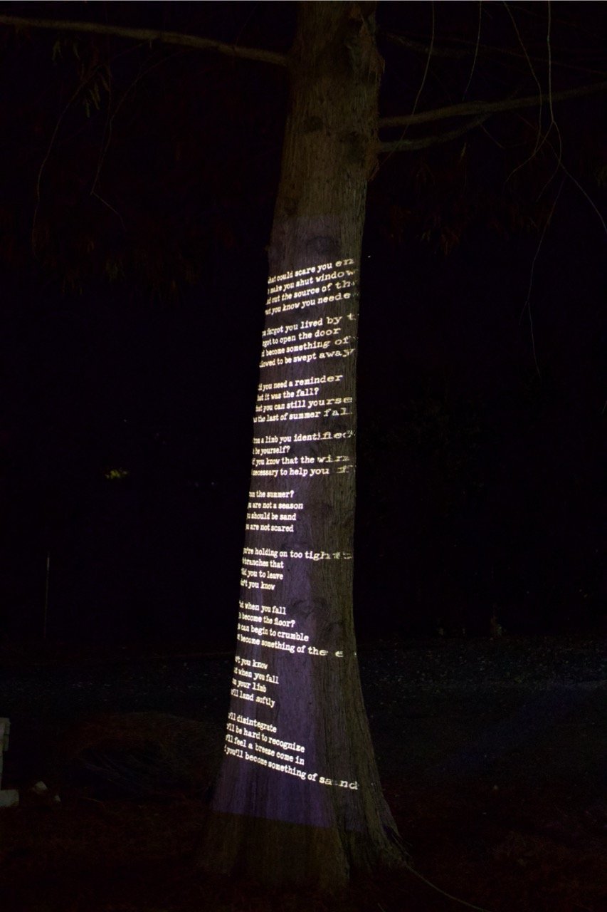 IMG_0055 Large.jpeg