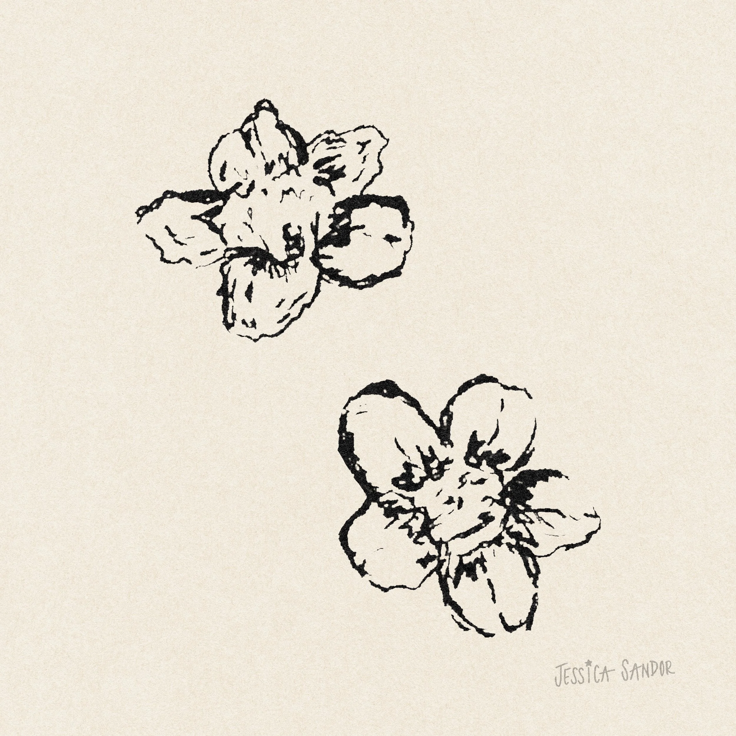 CM020_Jacob - State Flowers V3.1.jpeg