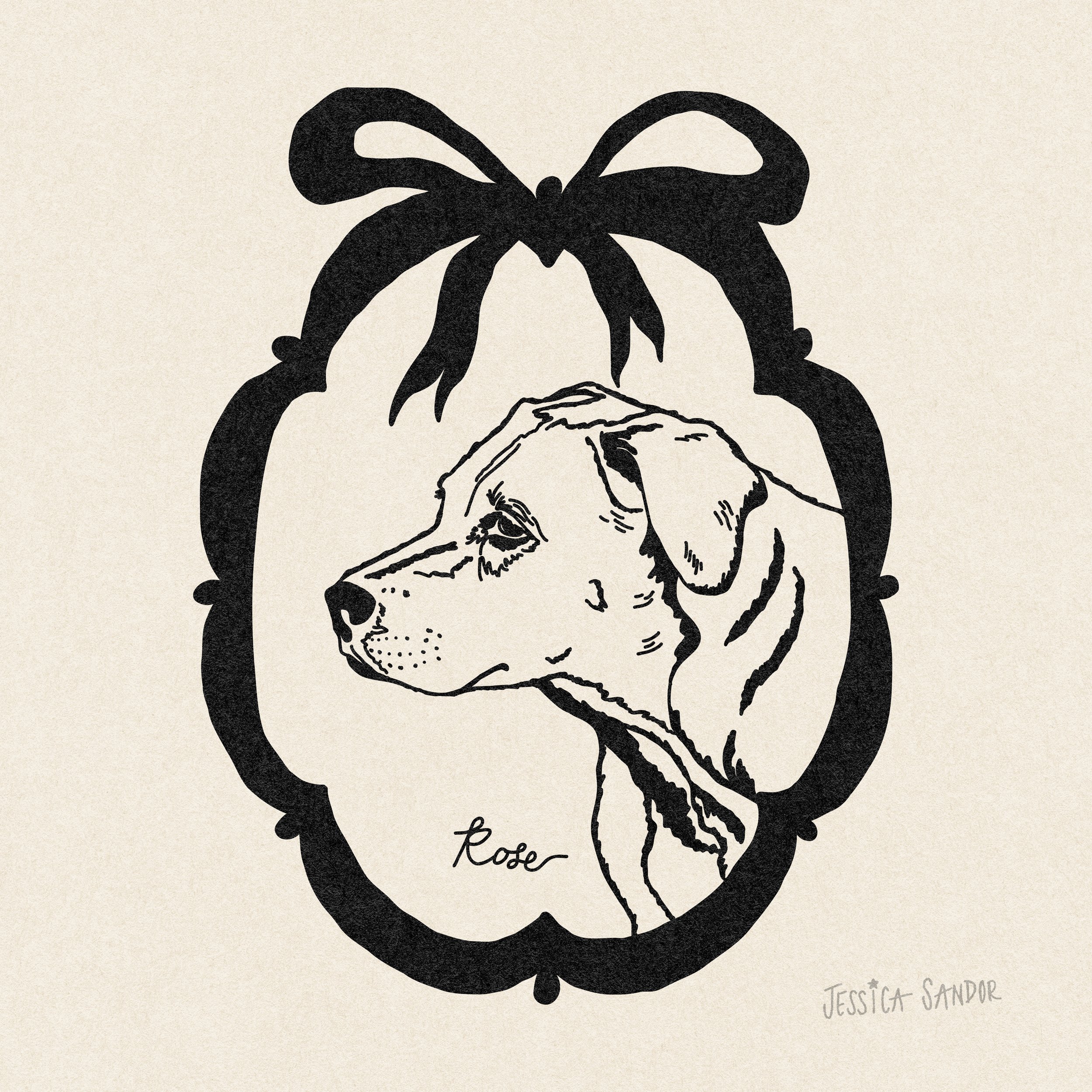 Pet Portraits