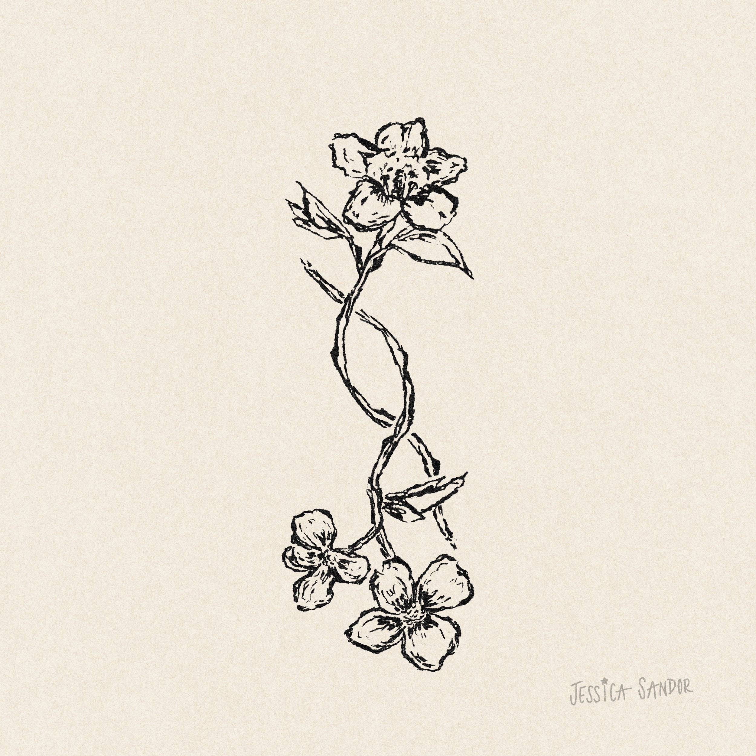 CM020_Jacob - State Flowers V2.jpeg