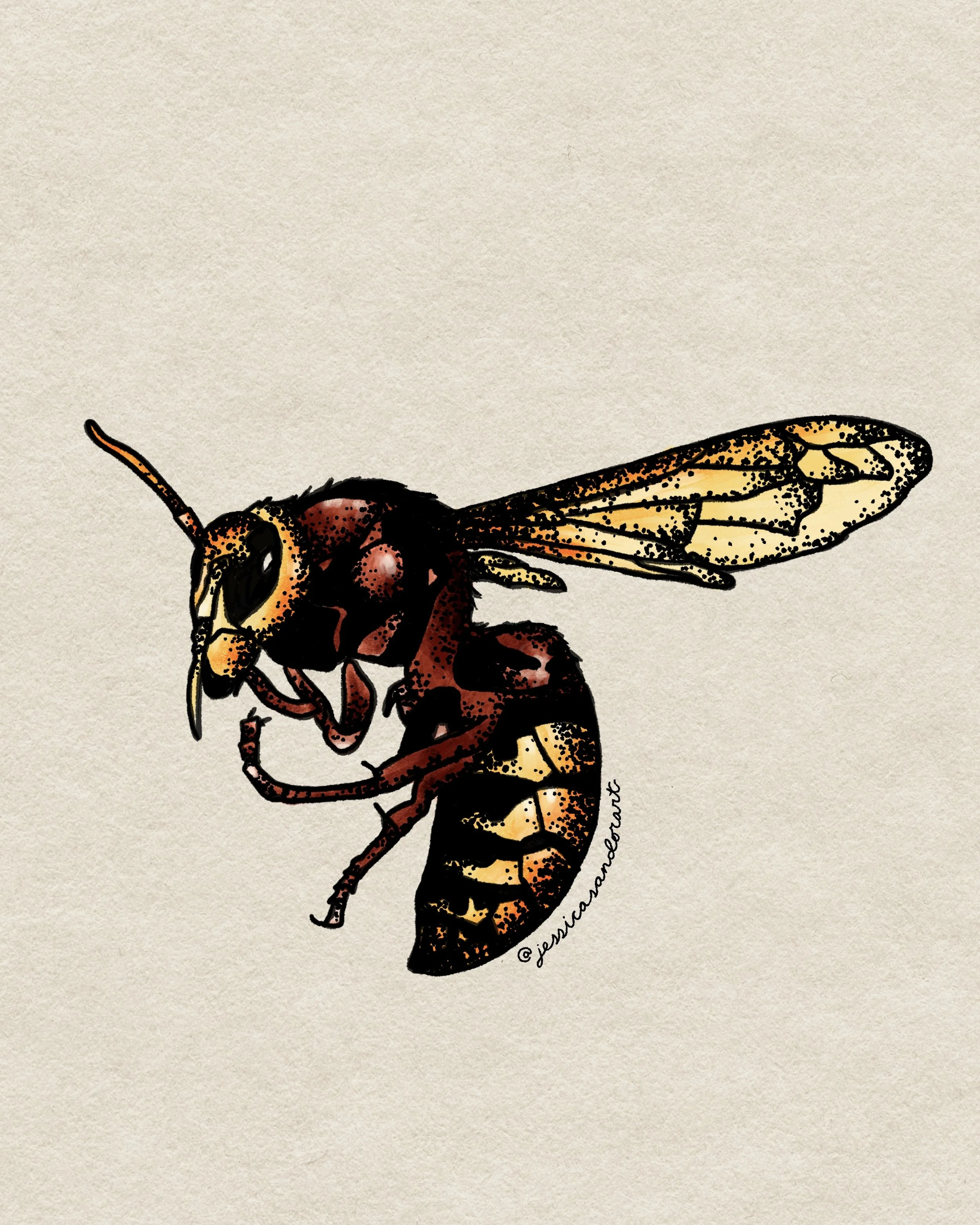 Plants, Wasp, & Butterfly 2.jpg