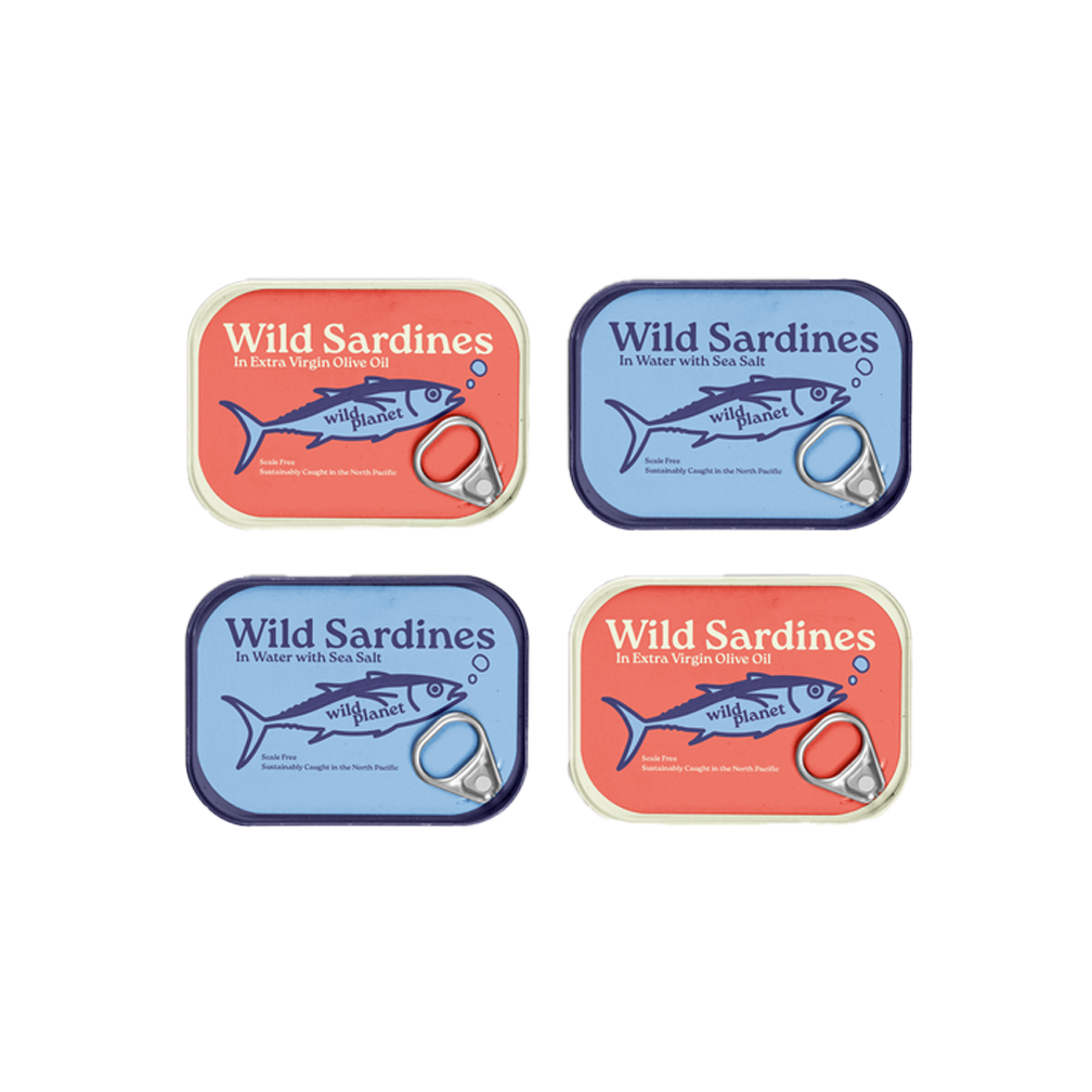 Wild Planet [Brand Concept]
