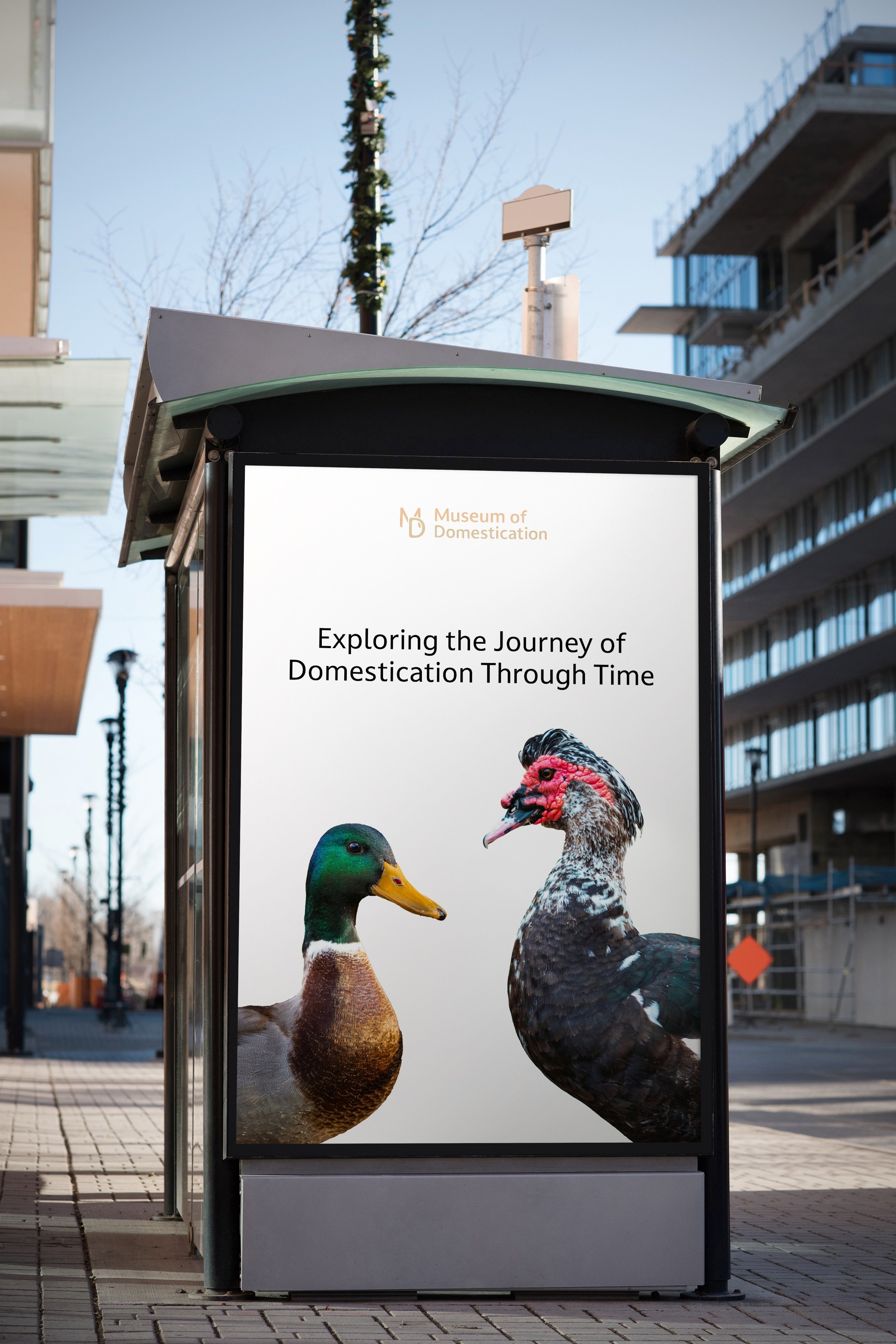 Duck Poster.jpeg
