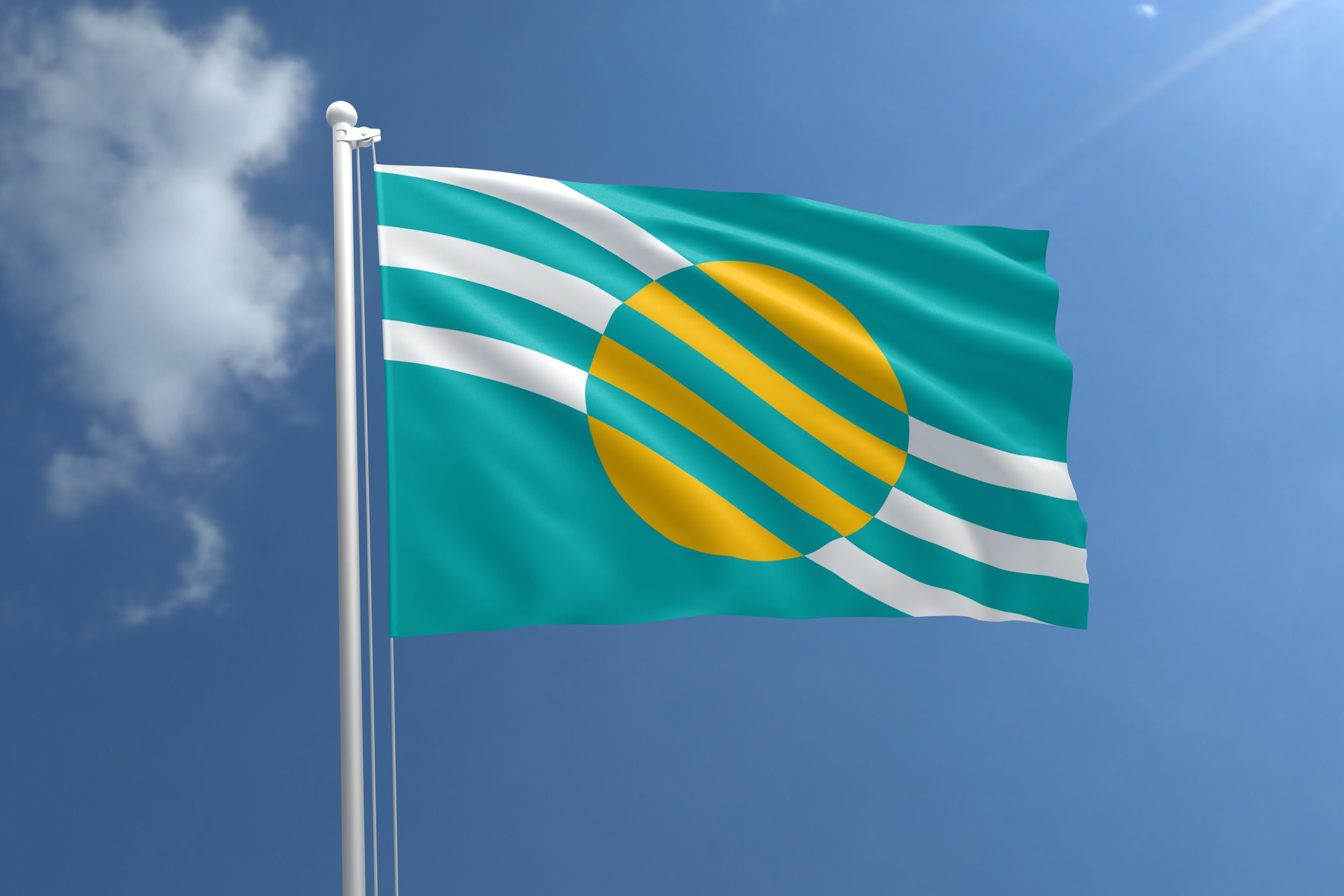 Tampa_Flag3.jpeg