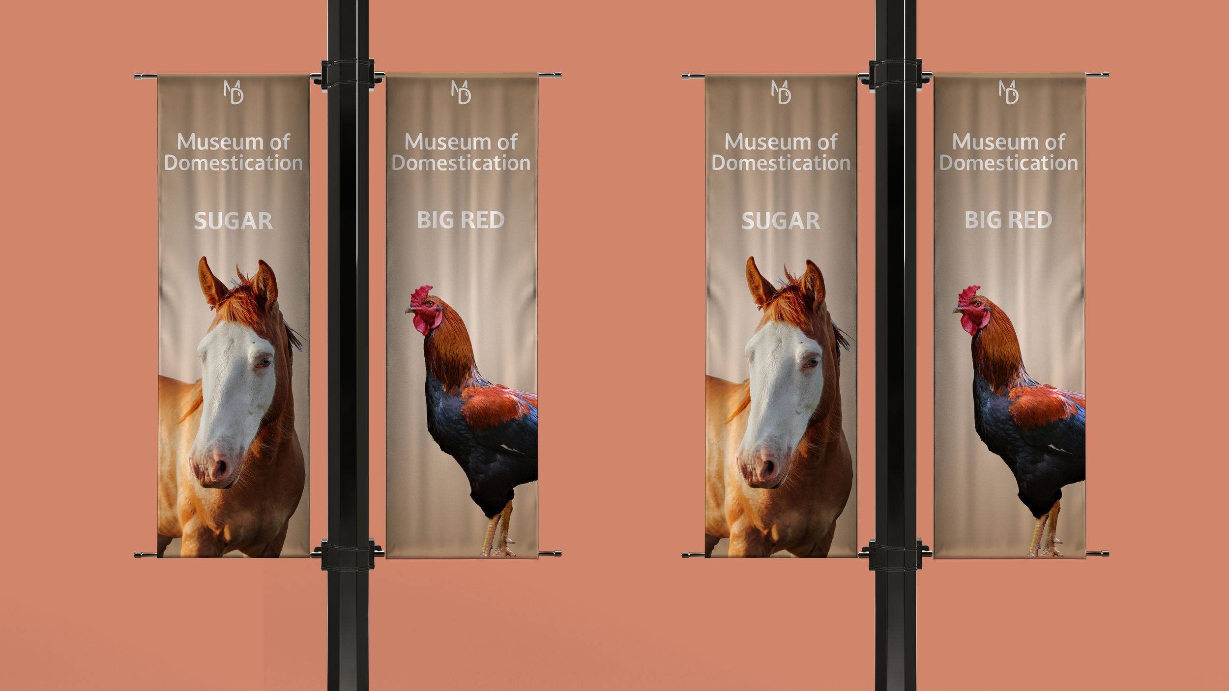 Horse_Rooster_Banner.jpeg