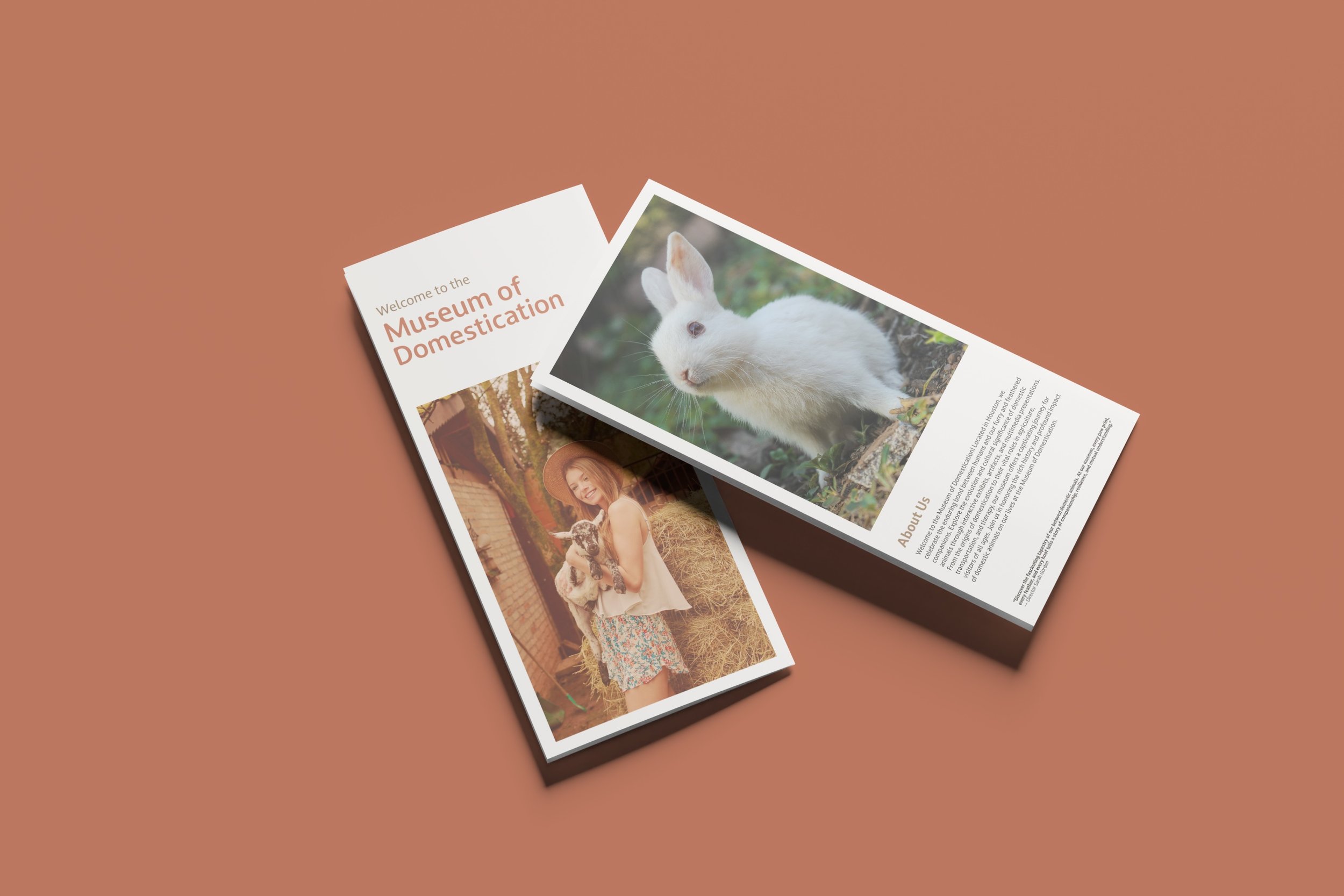 Brochure1.jpeg