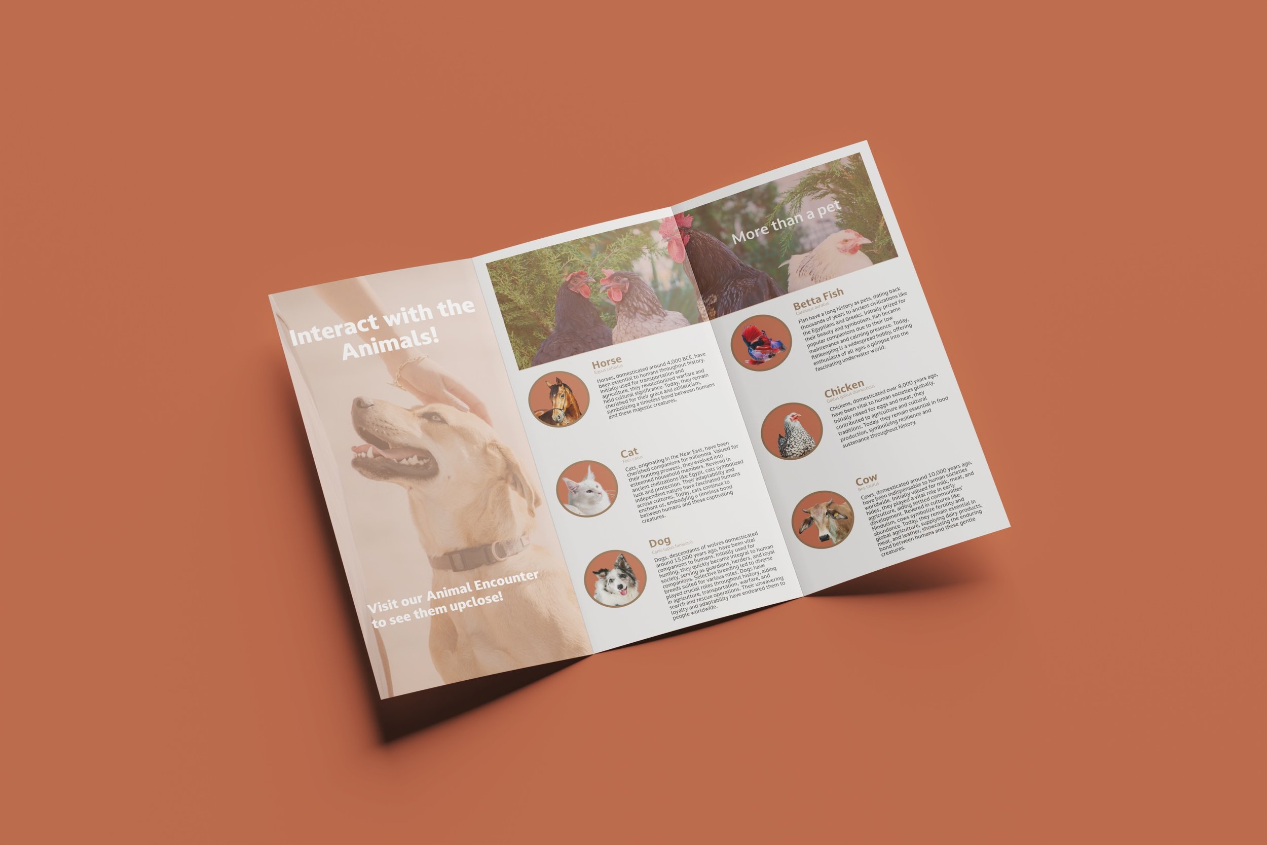 Brochure3.jpeg