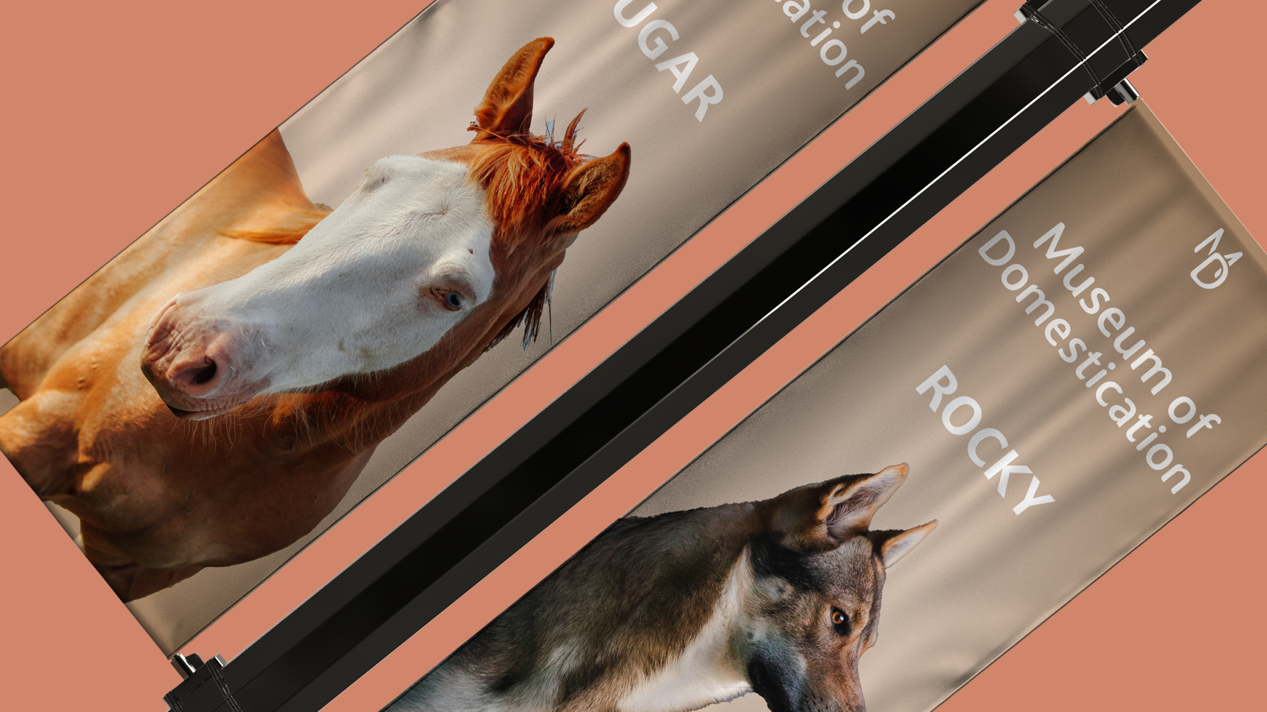Horse_Dog_Banner.jpeg