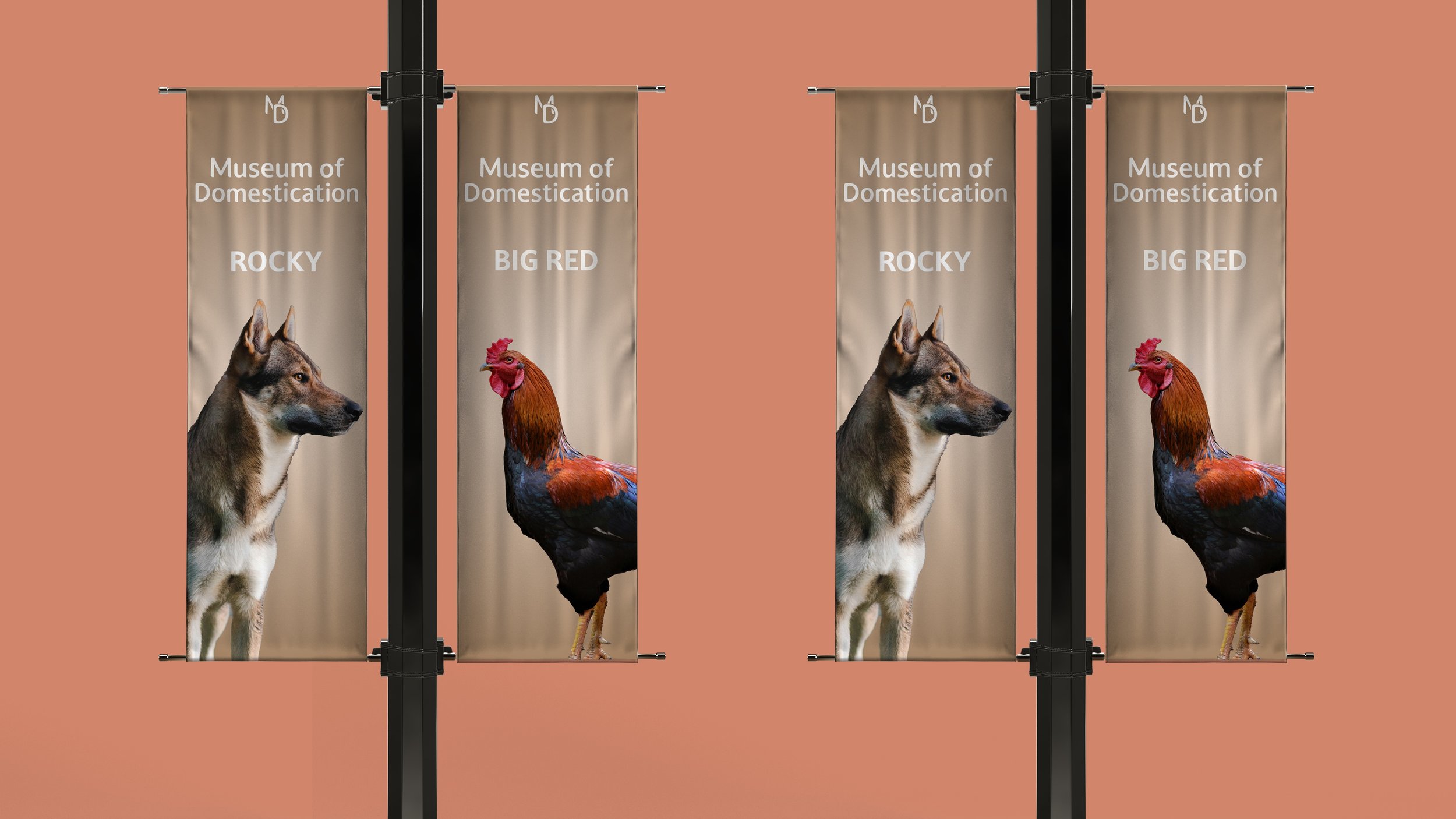 Dog_Rooster_Banner.jpeg