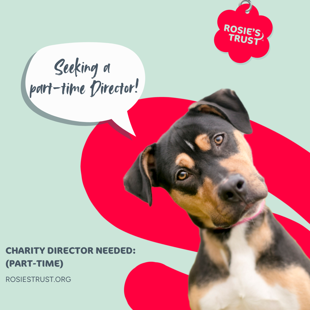 Director (part-time), Rosie’s Trust