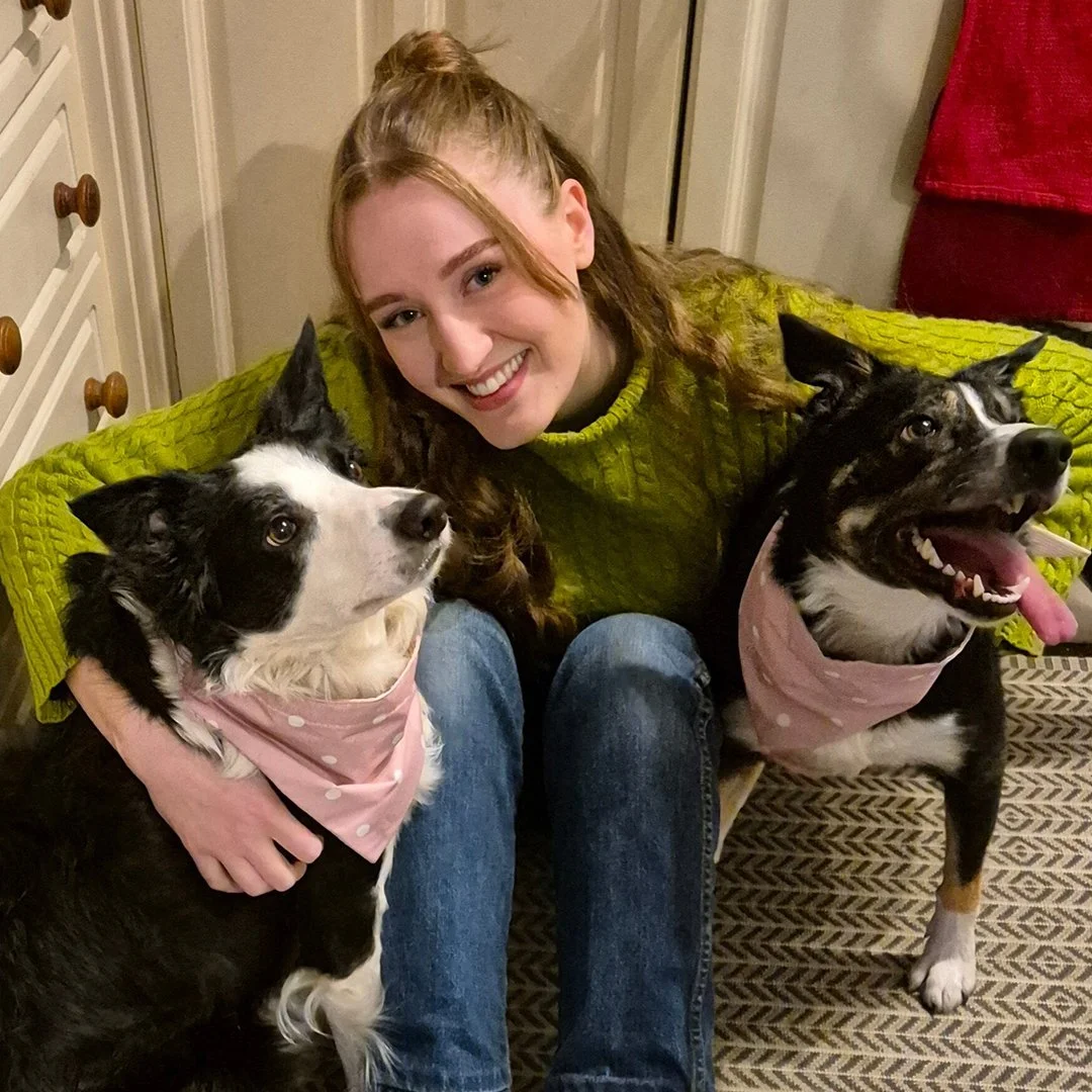 A person sitting between two dogs. The person is wearing a green sweater, and the dogs have pink bandanas. One of the dogs is black and white with pointy ears, and the other is mostly black with a white patch.