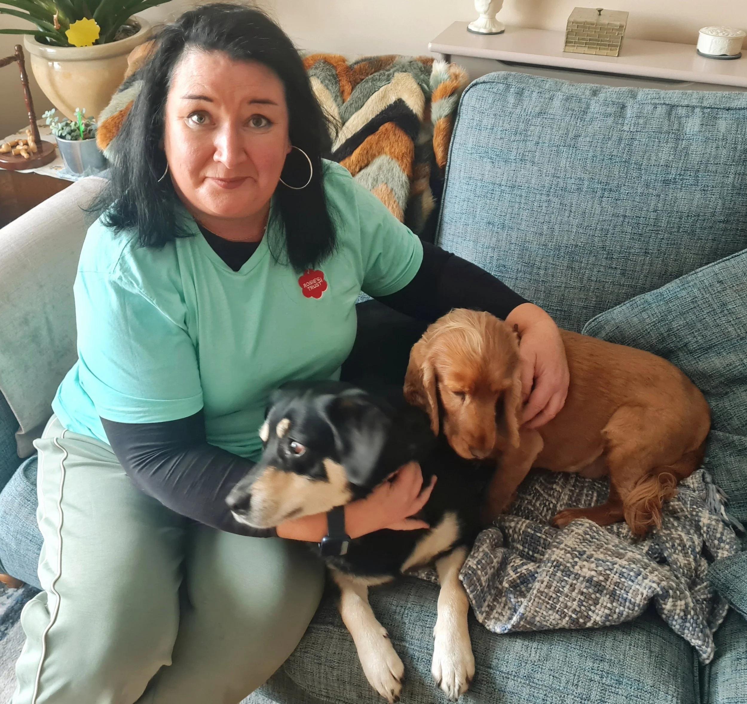 Staff member with two dogs on a sofa
